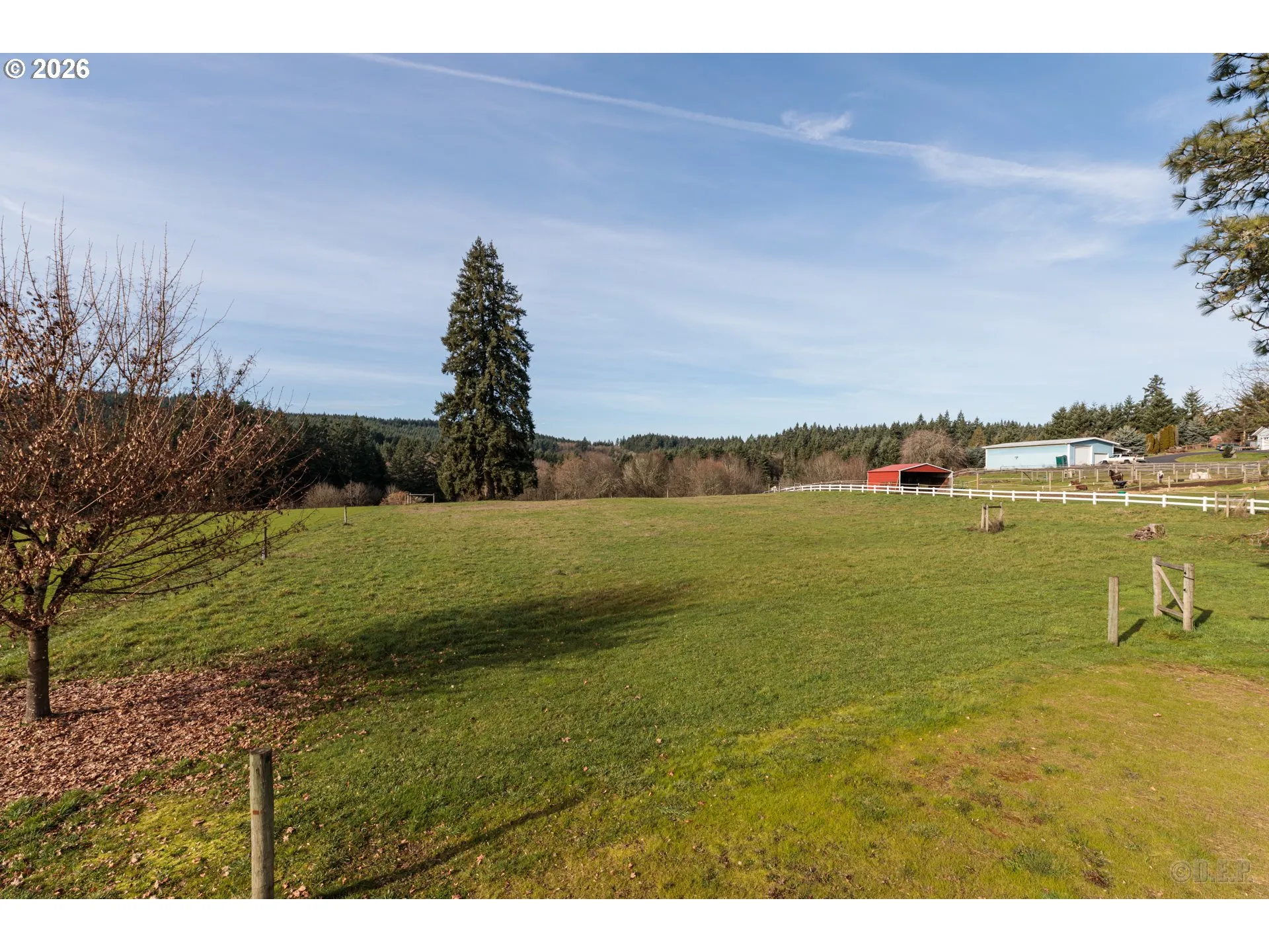Pasture