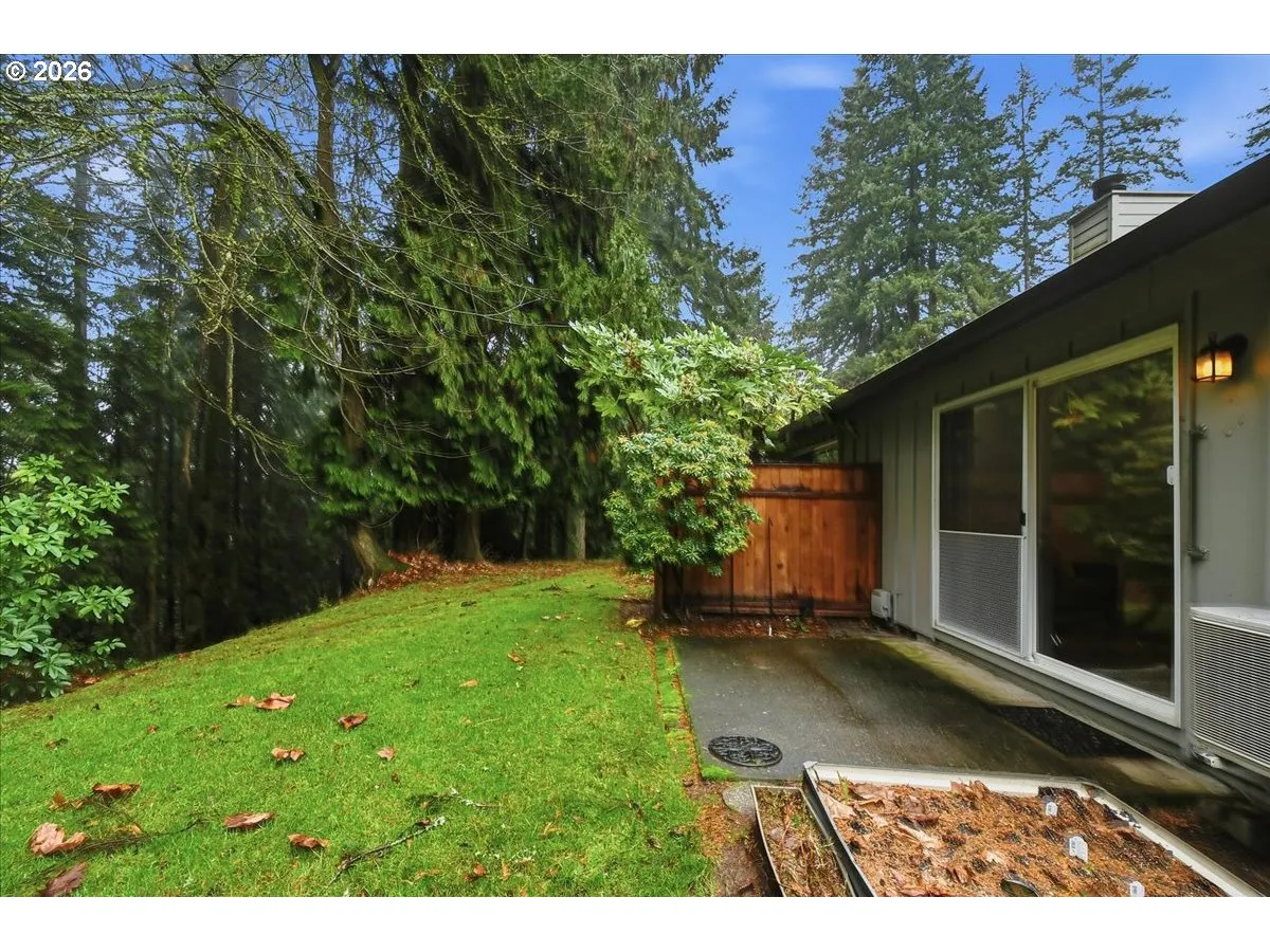 Patio-Backyard
