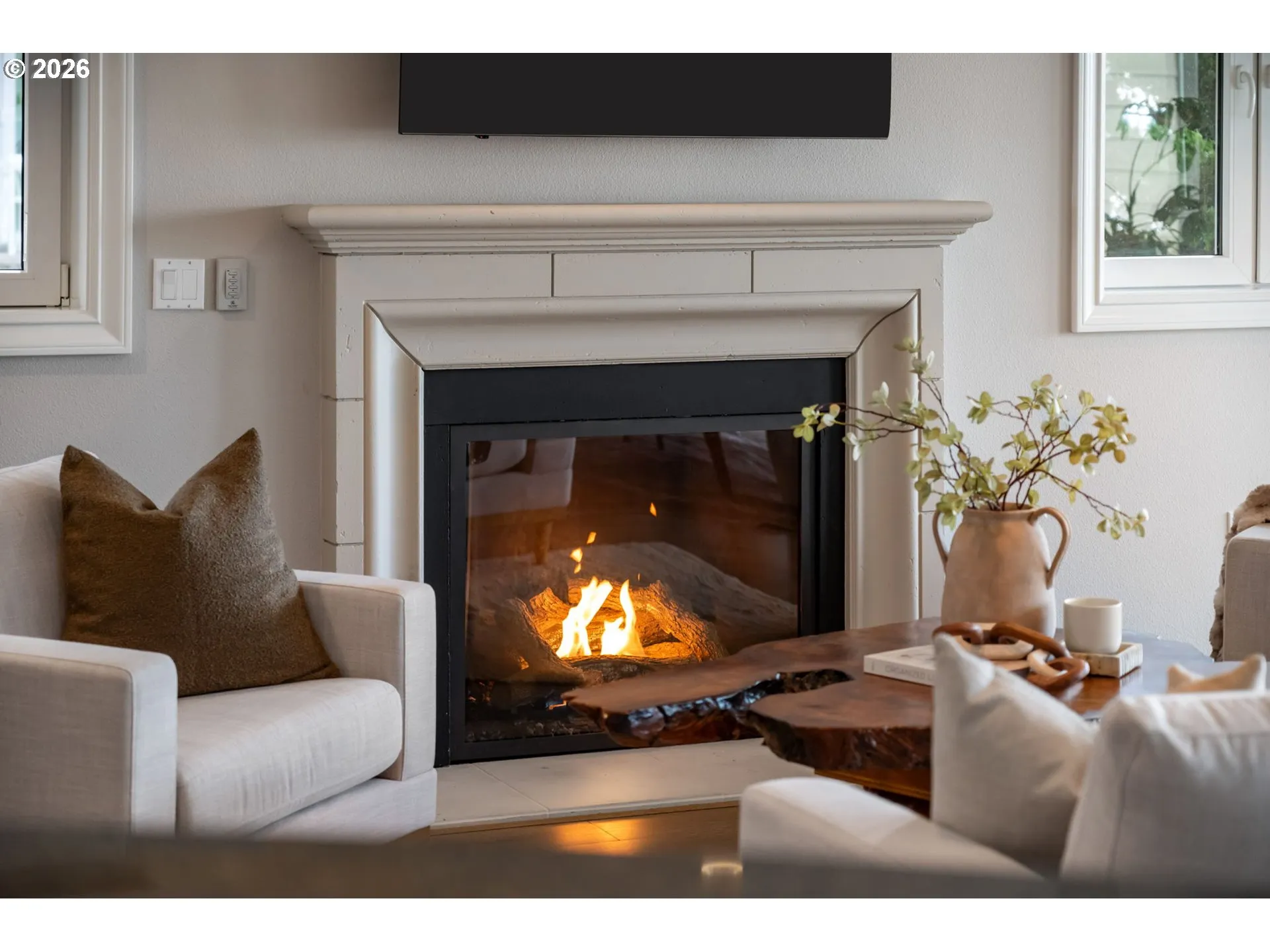 Fireplace Gas