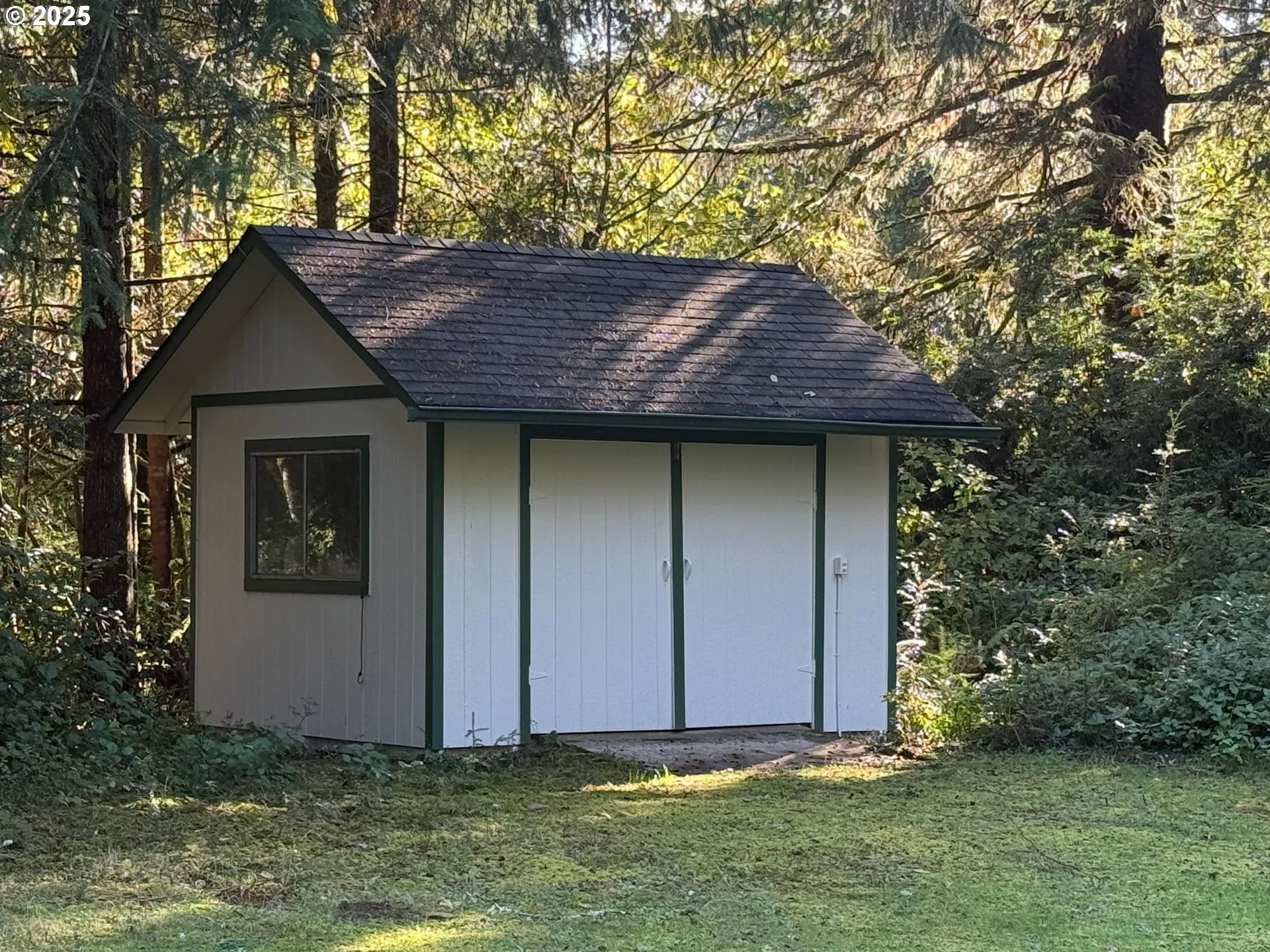 Shed