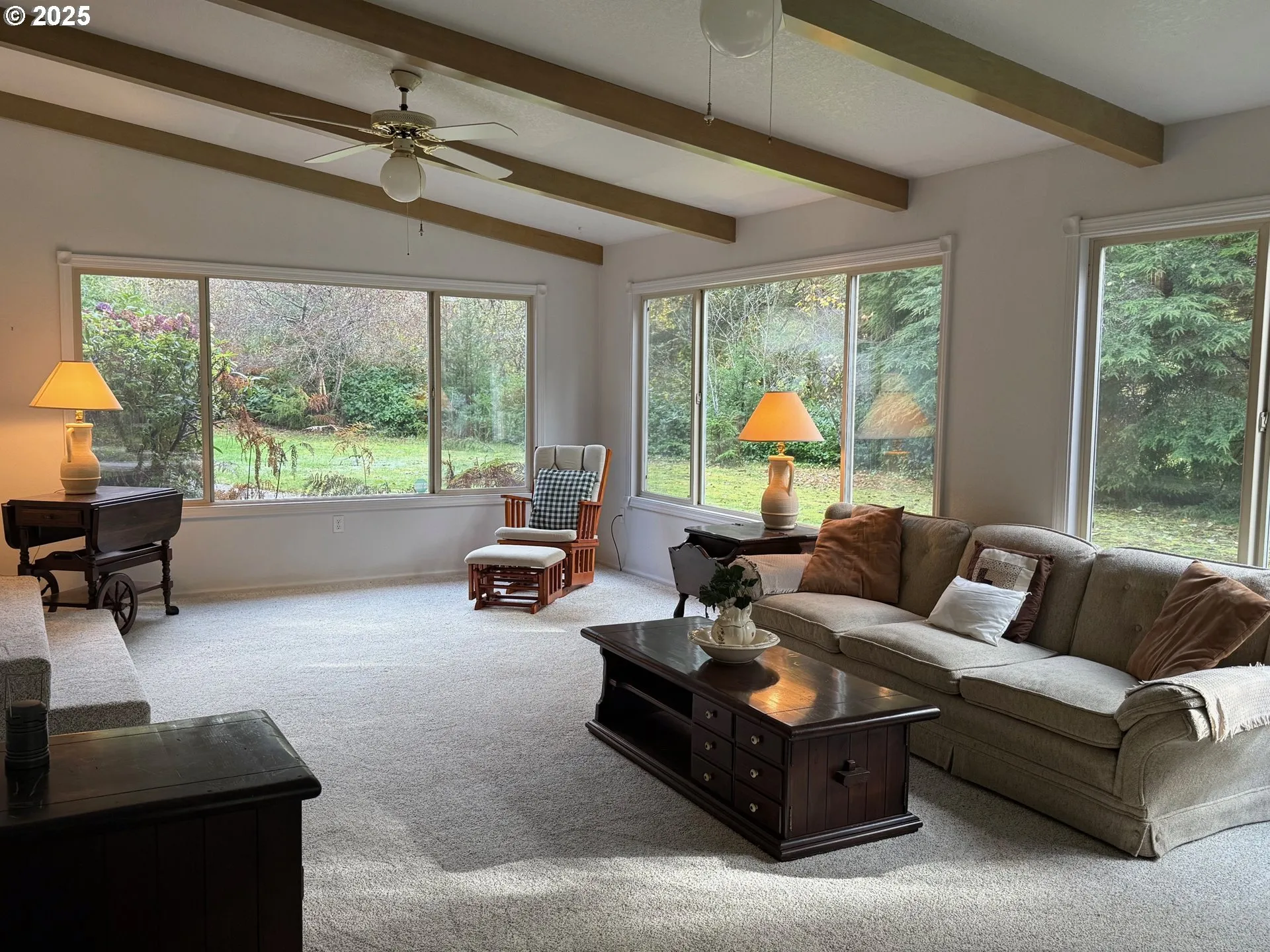 Sun Room-Ceiling Fan