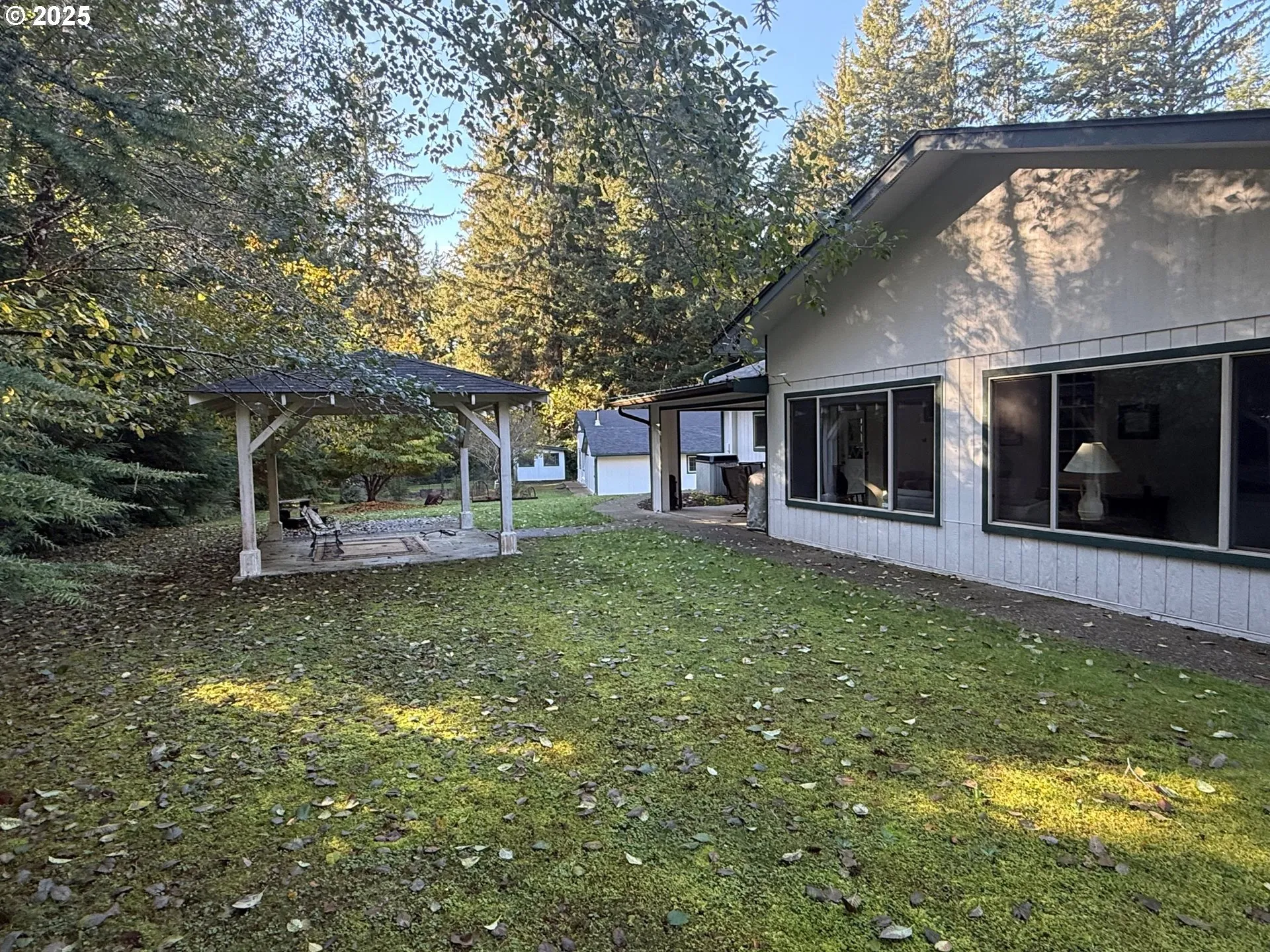Backyard-View From