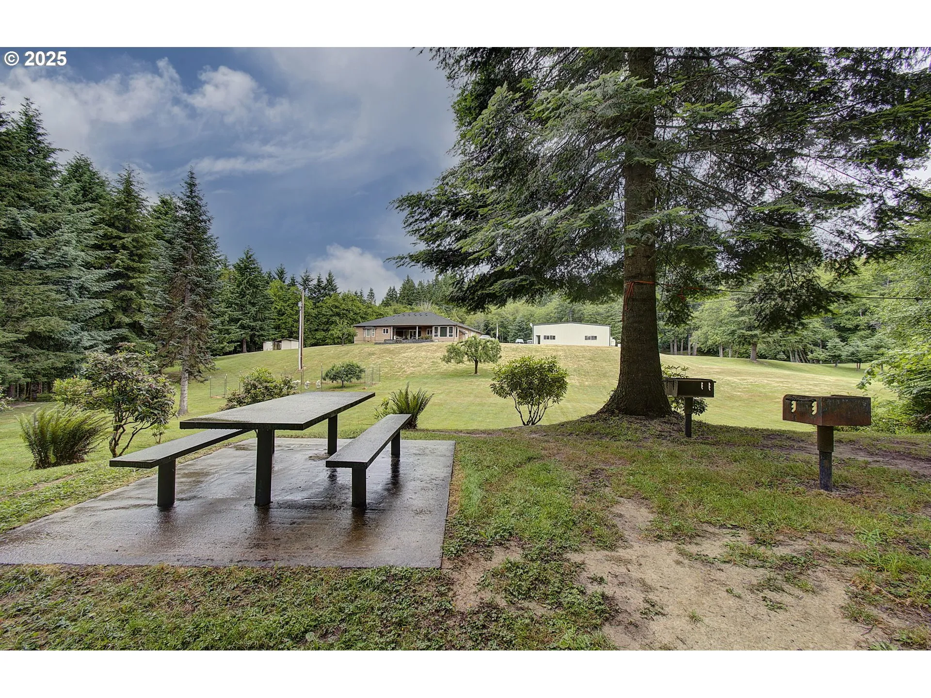 Yard-Landscaped