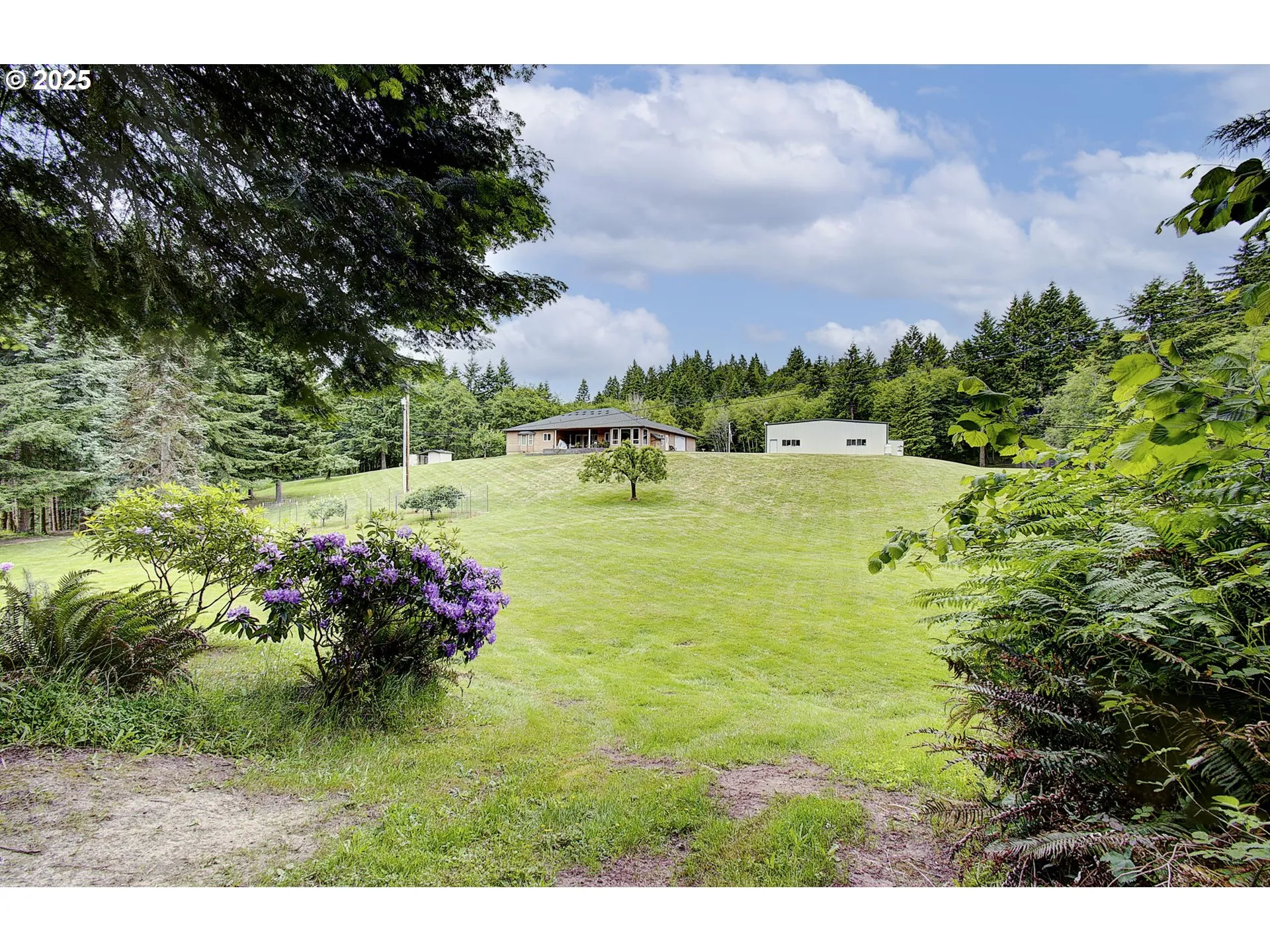 Yard-Manicured