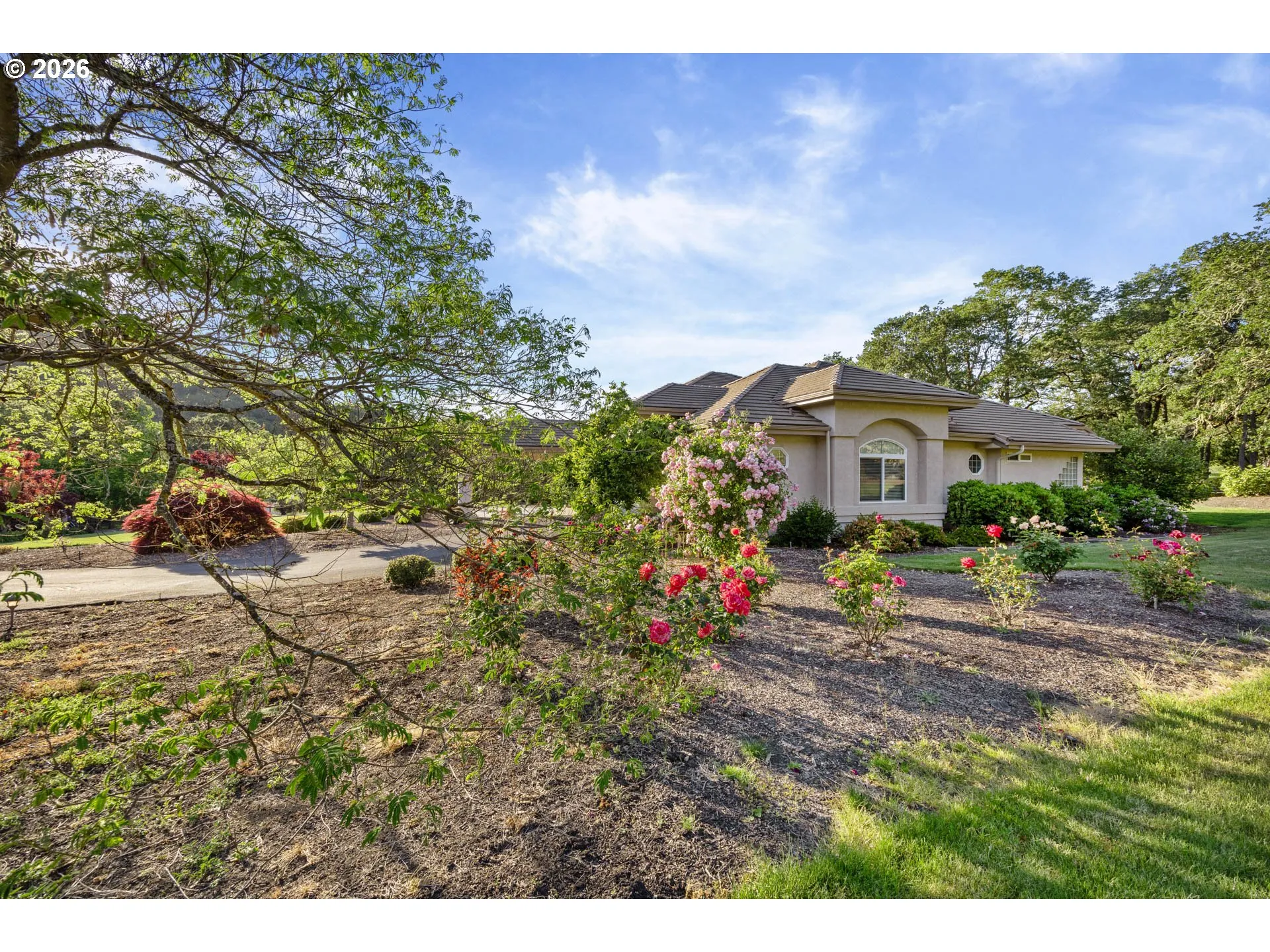 Yard-Landscaped