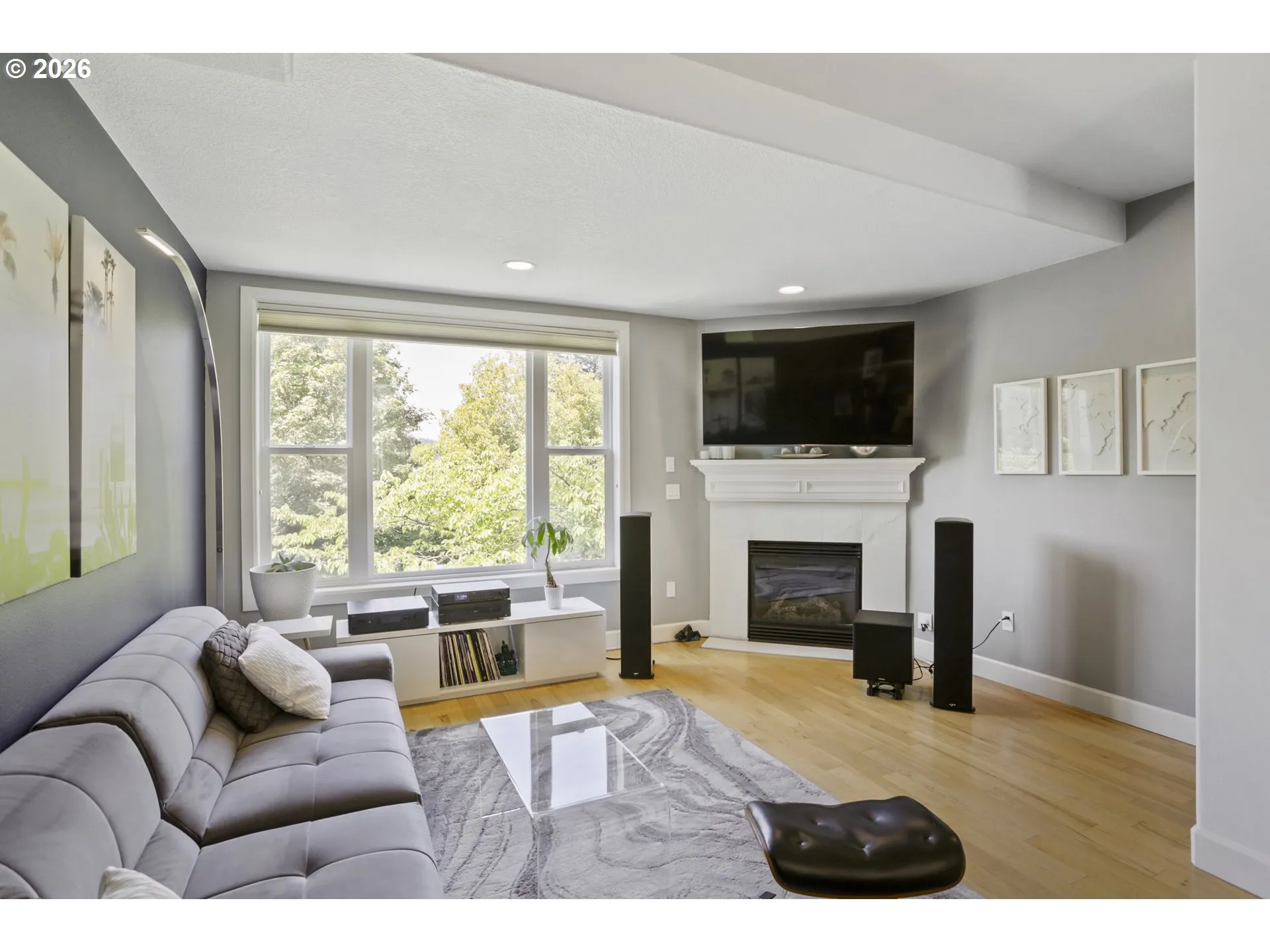Living Room-Fireplace