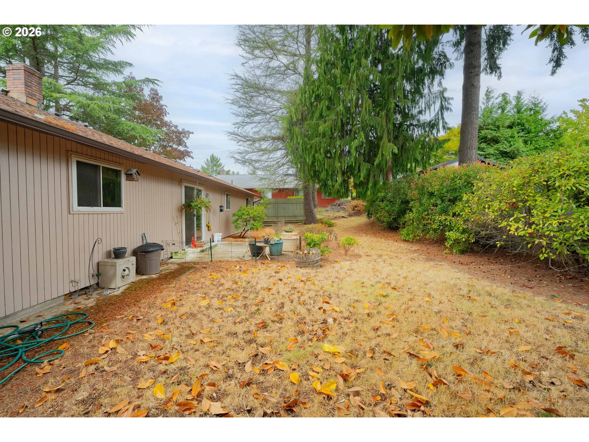 Backyard