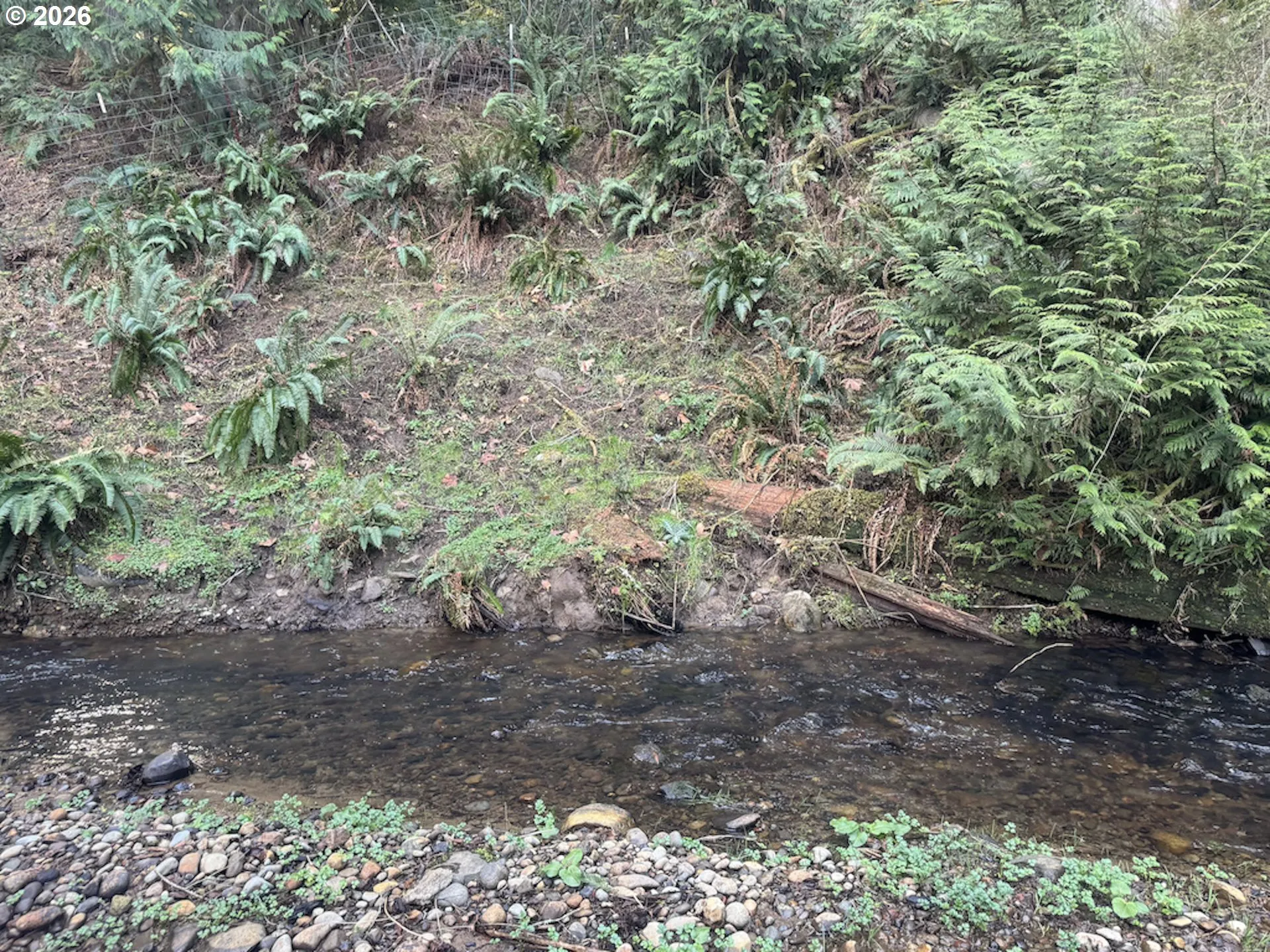 Creek-Year Round