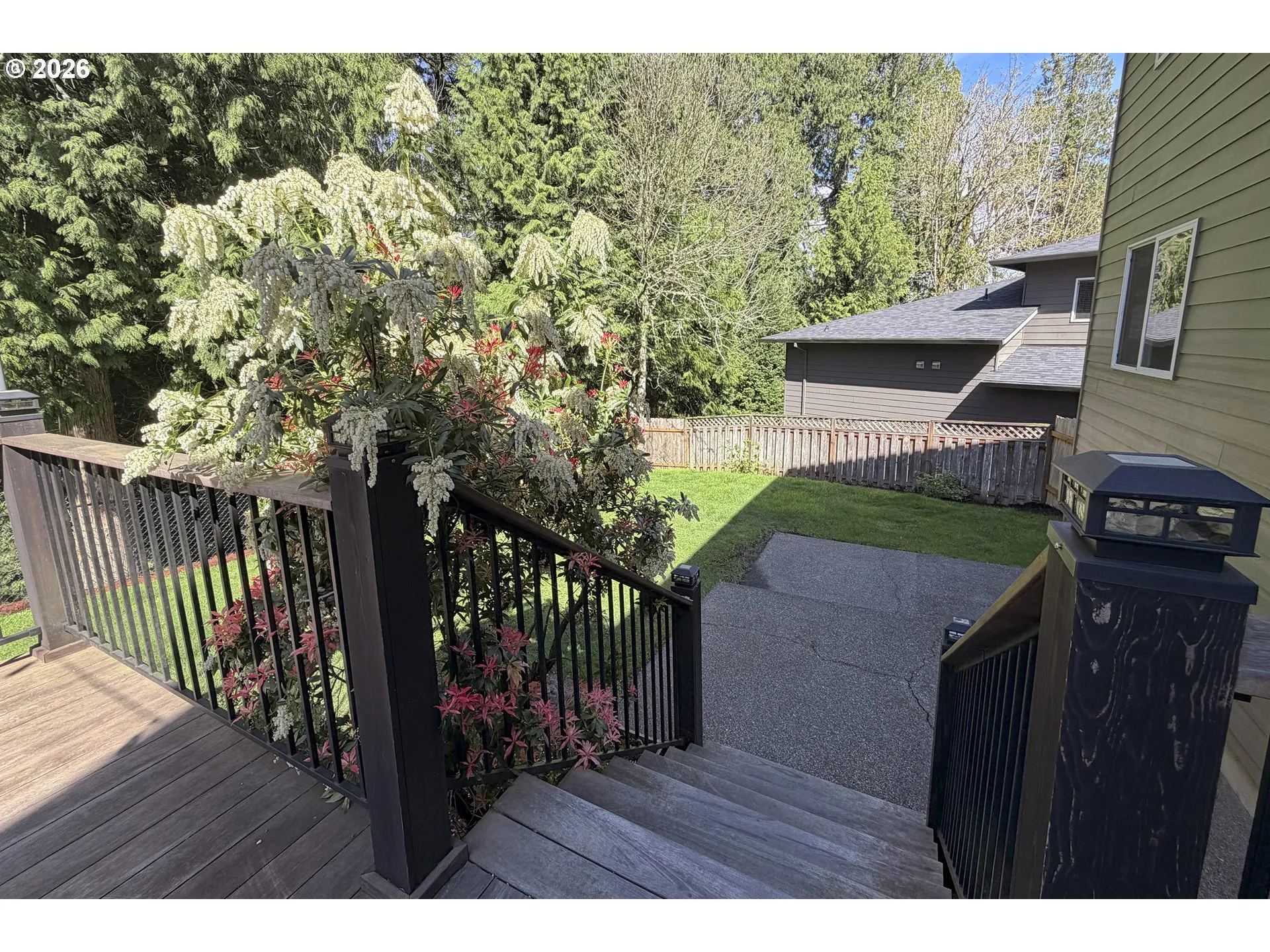 Backyard-Fenced