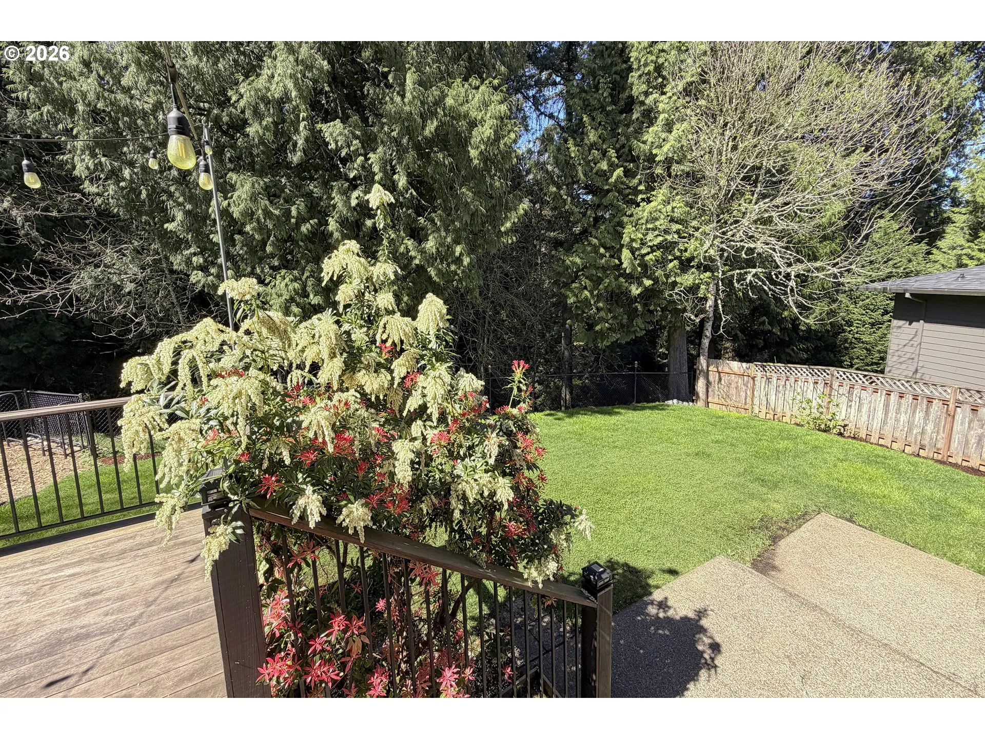 Backyard-Fenced