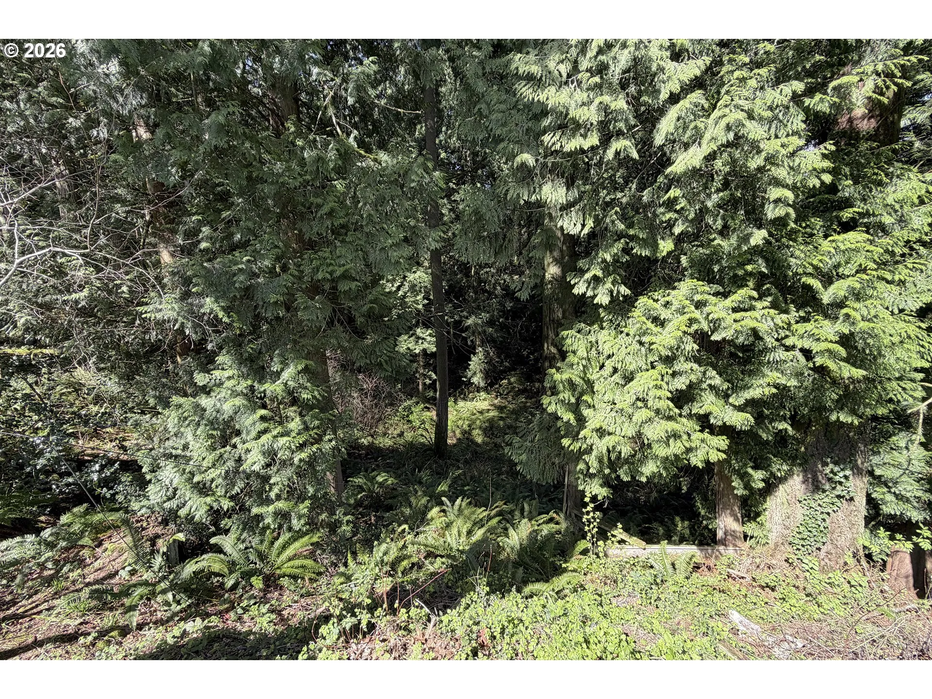 Creek-Back