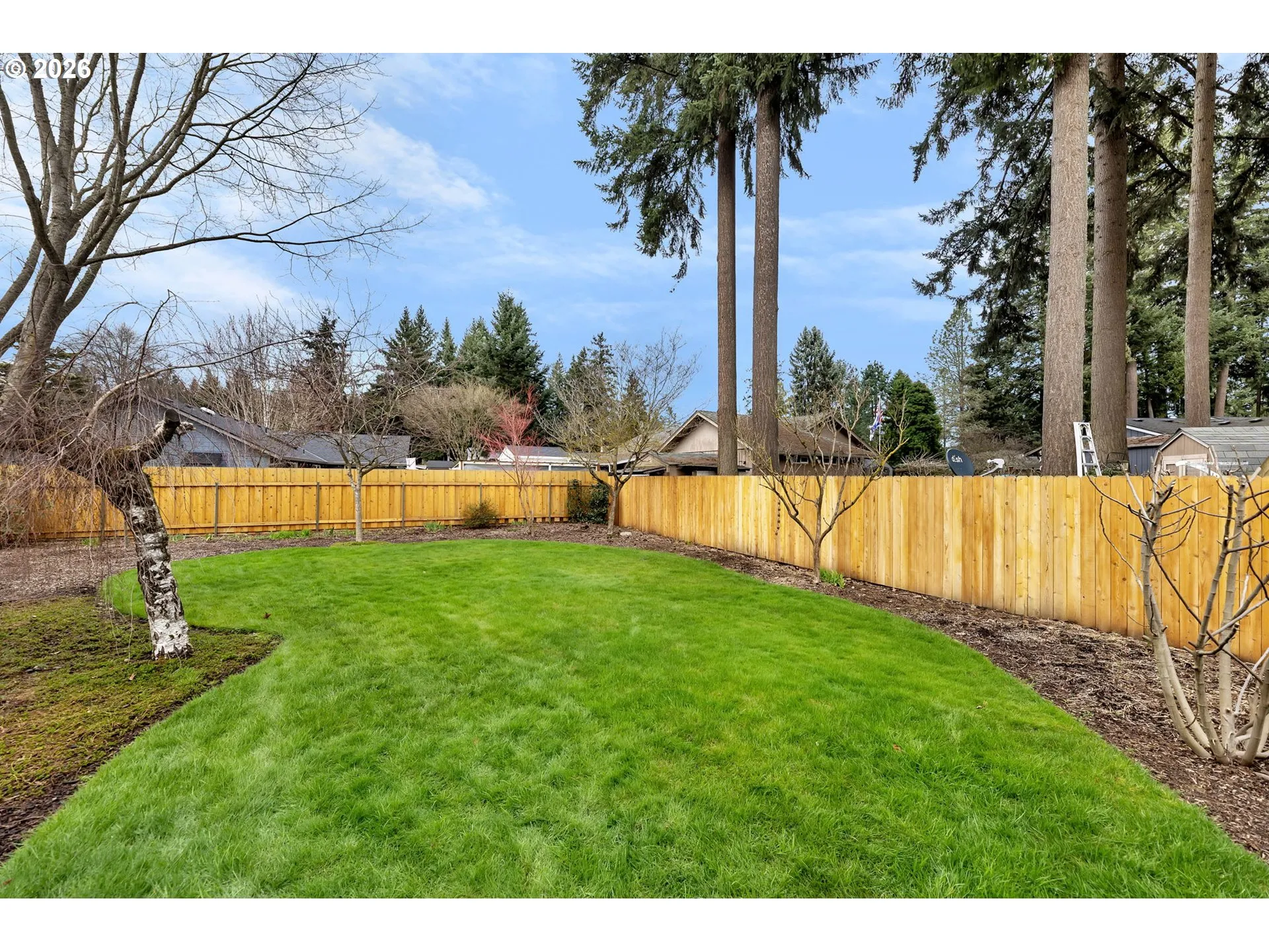 Backyard