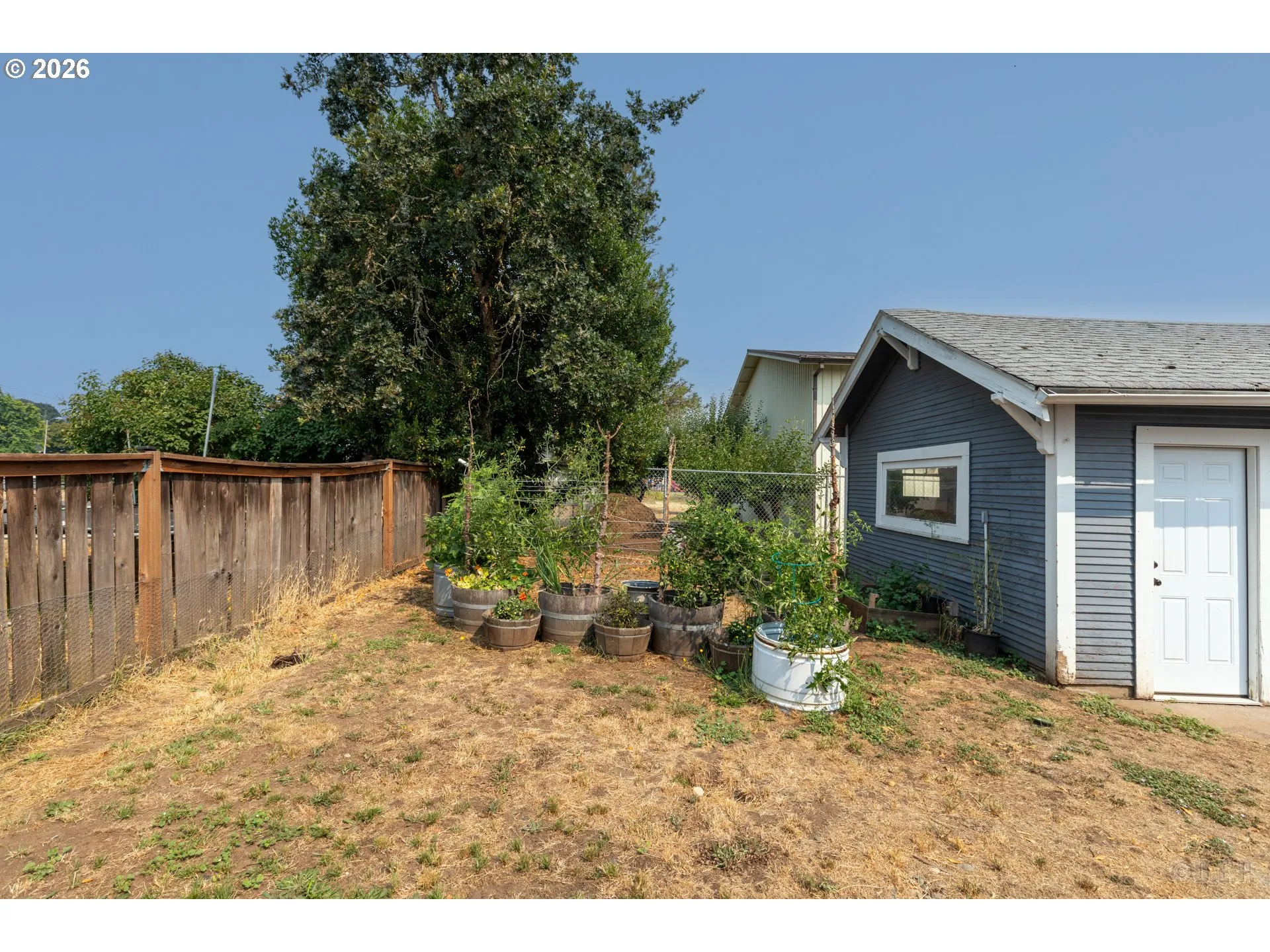 Backyard