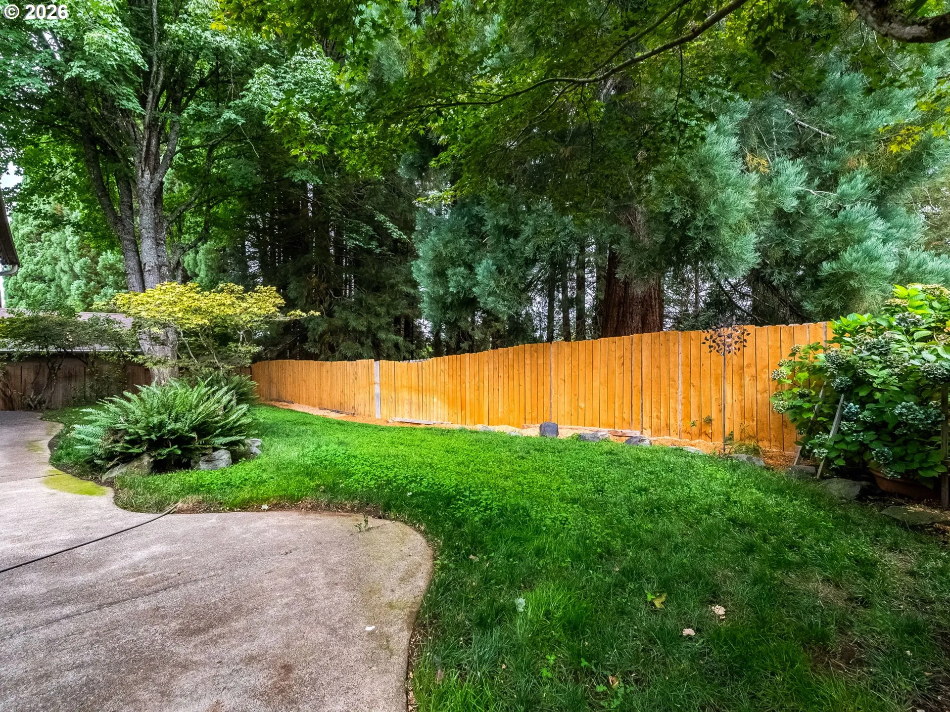 Yard-Landscaped