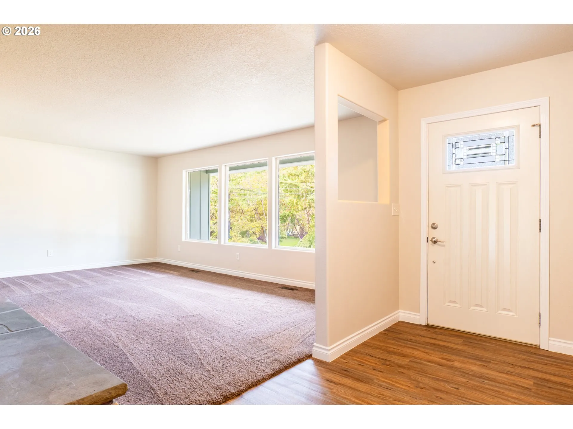 Living Room/Entrance