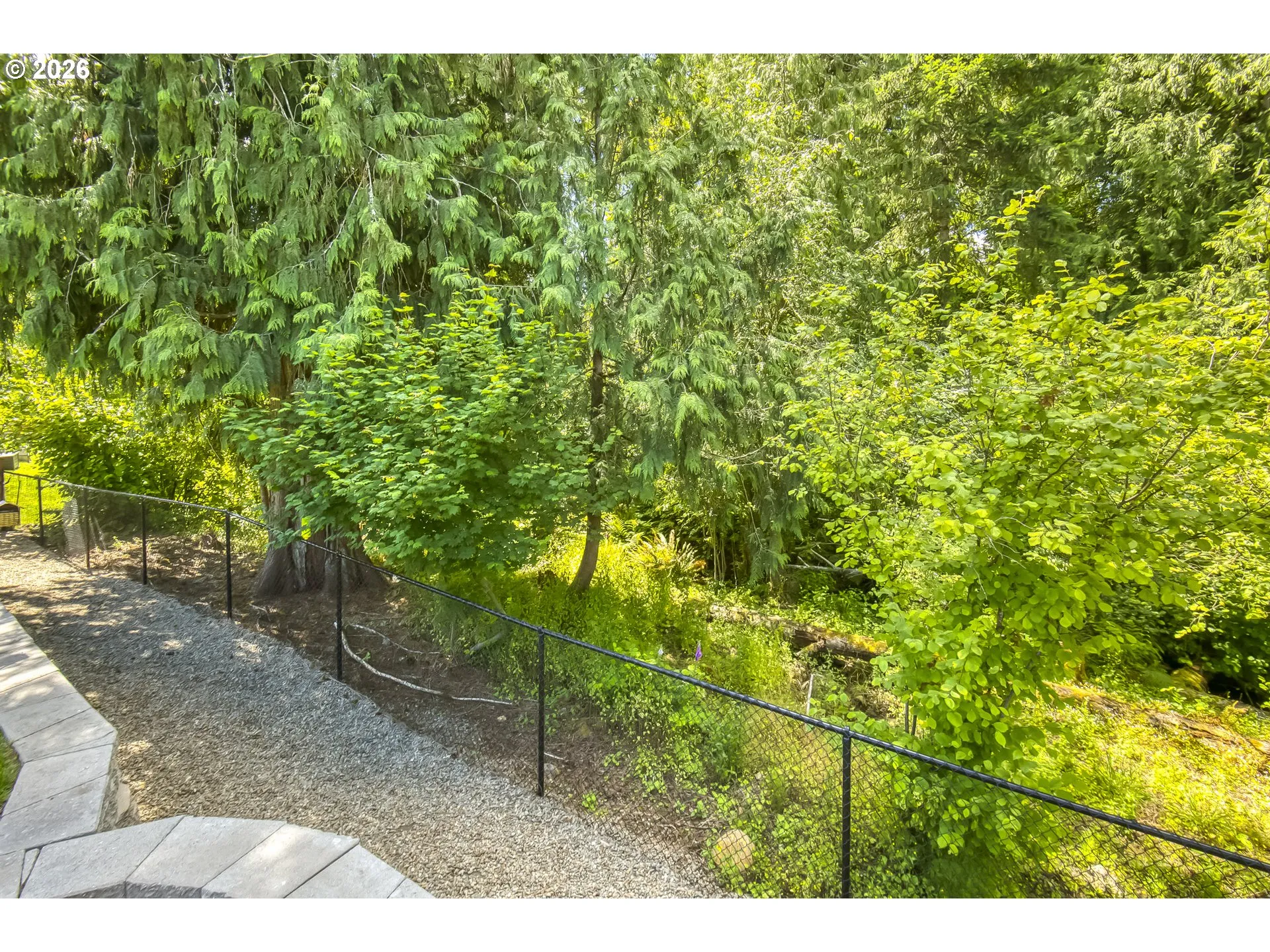 Backyard-View From