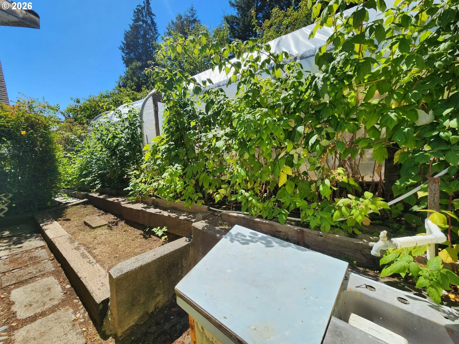 Greenhouse