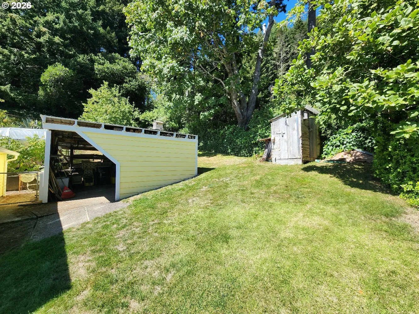 Shed
