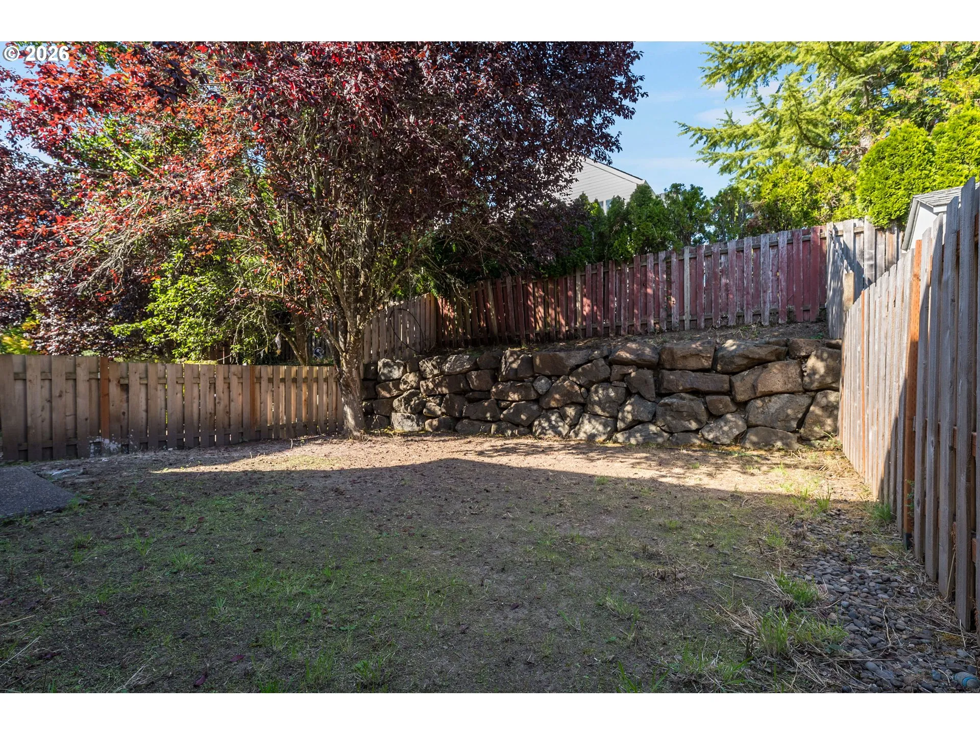 Backyard-Fenced