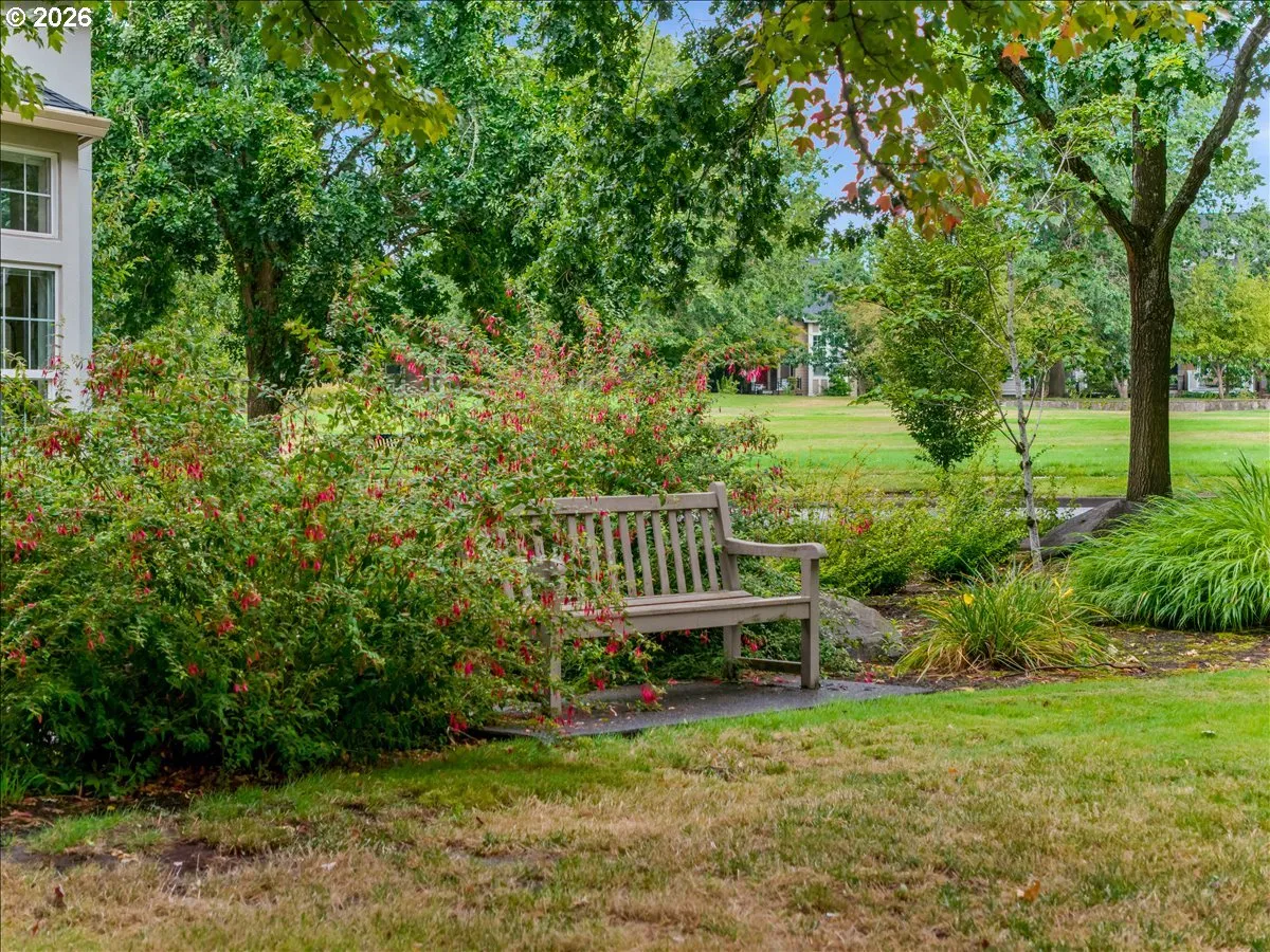 Community Park