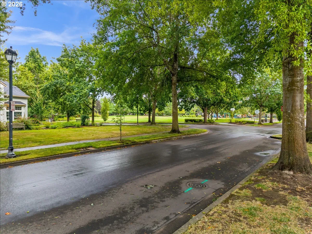 Community Park