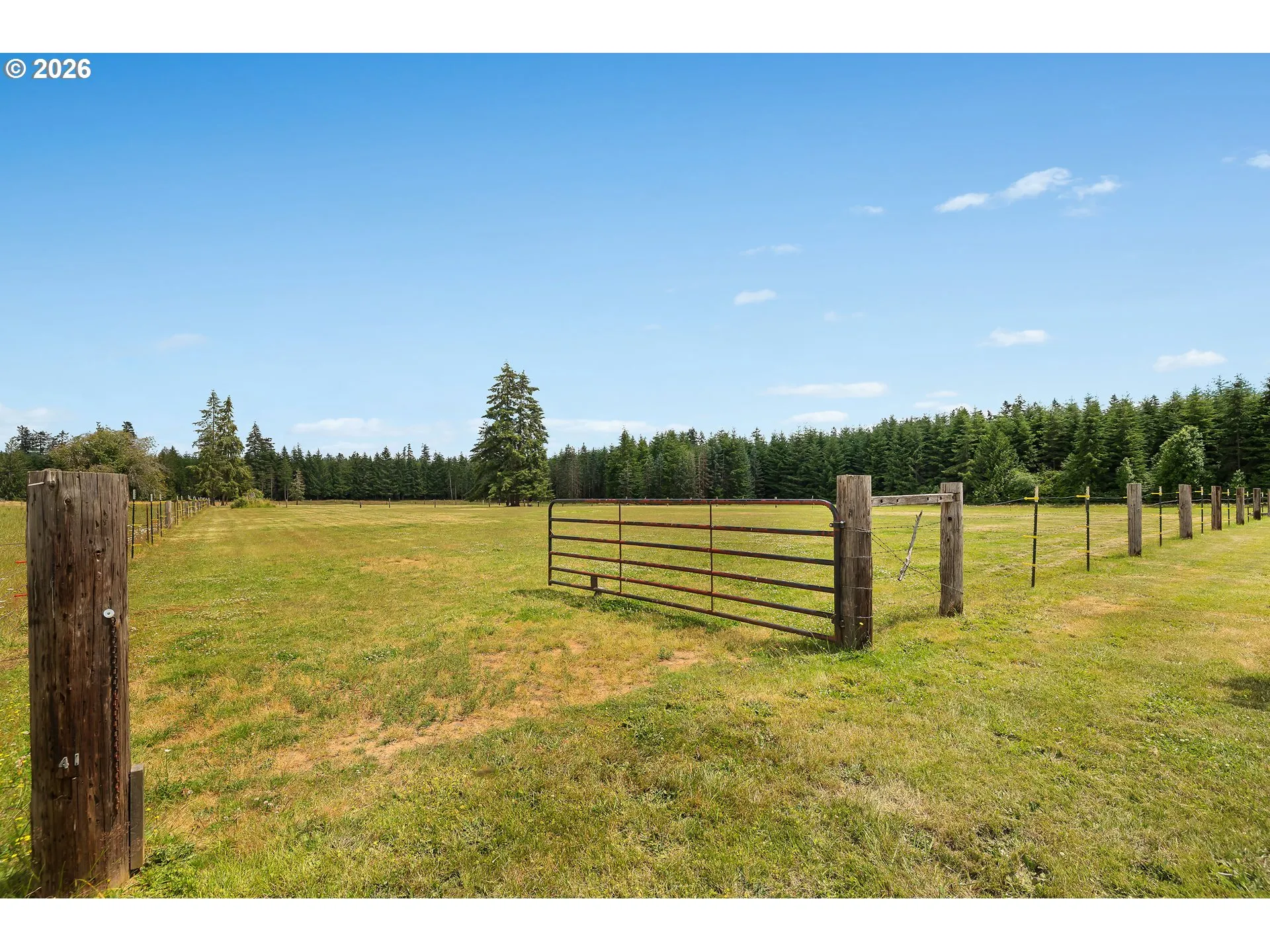 Pasture