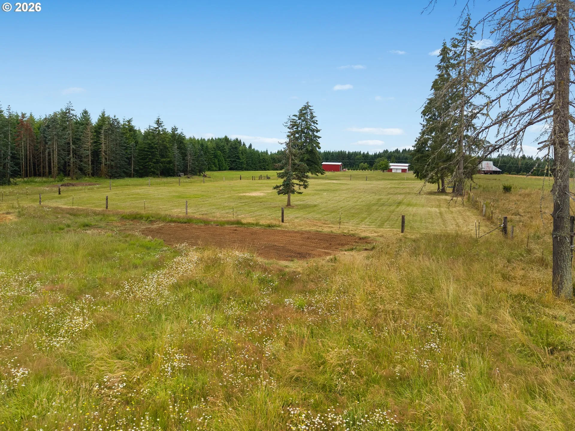 Pasture