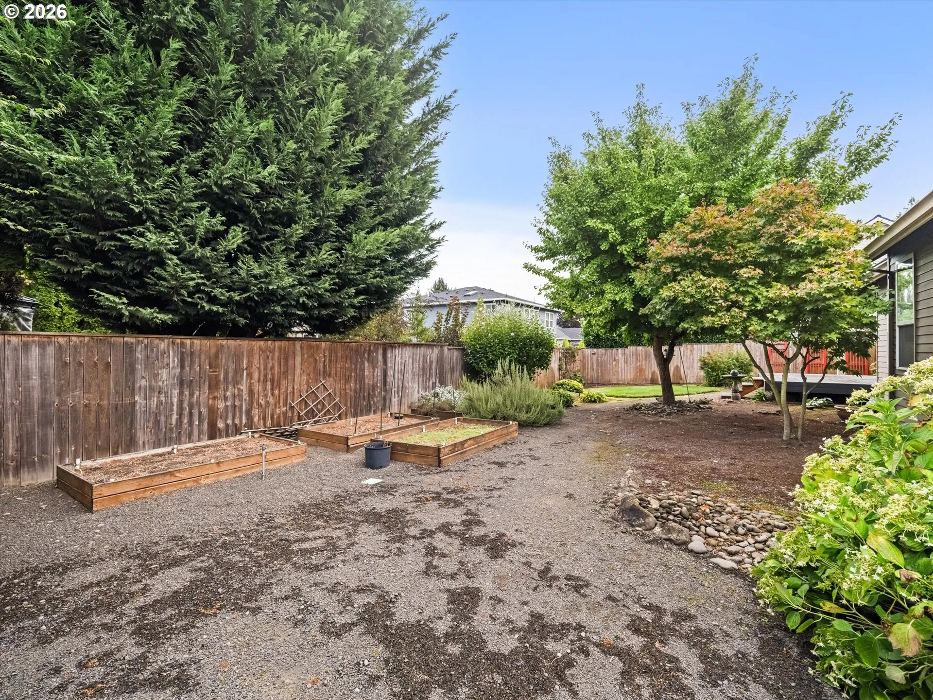 Backyard-View From