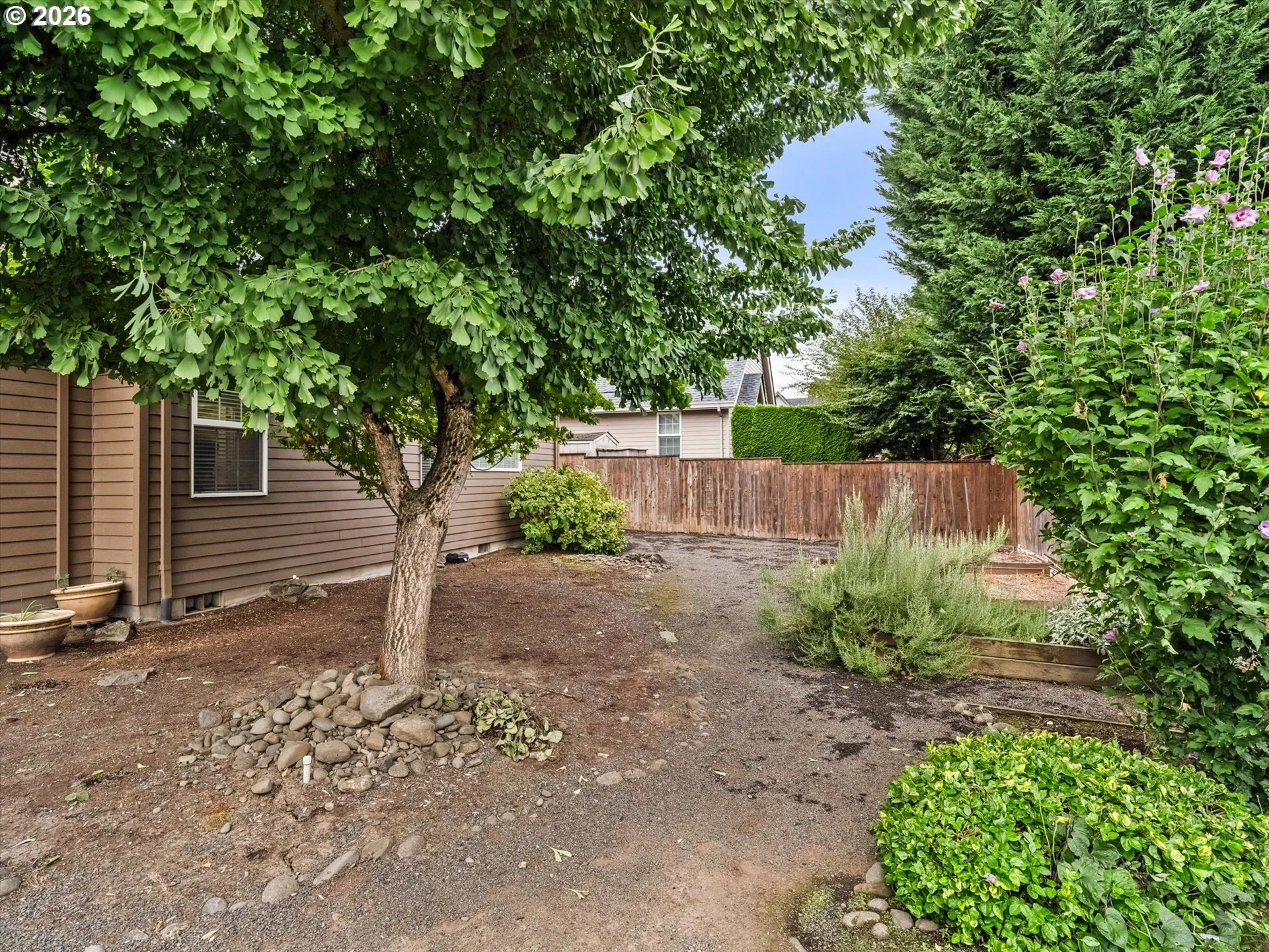 Backyard-View From