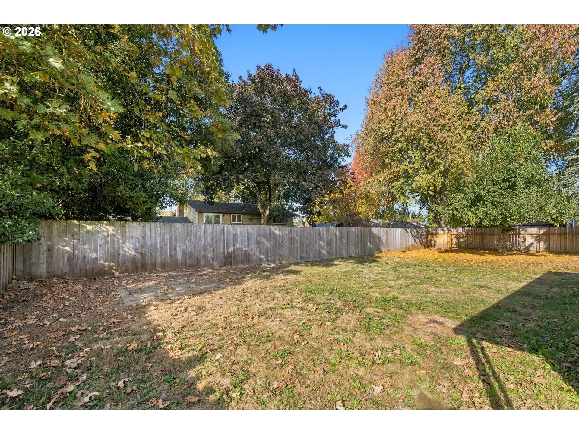 Backyard-Fenced