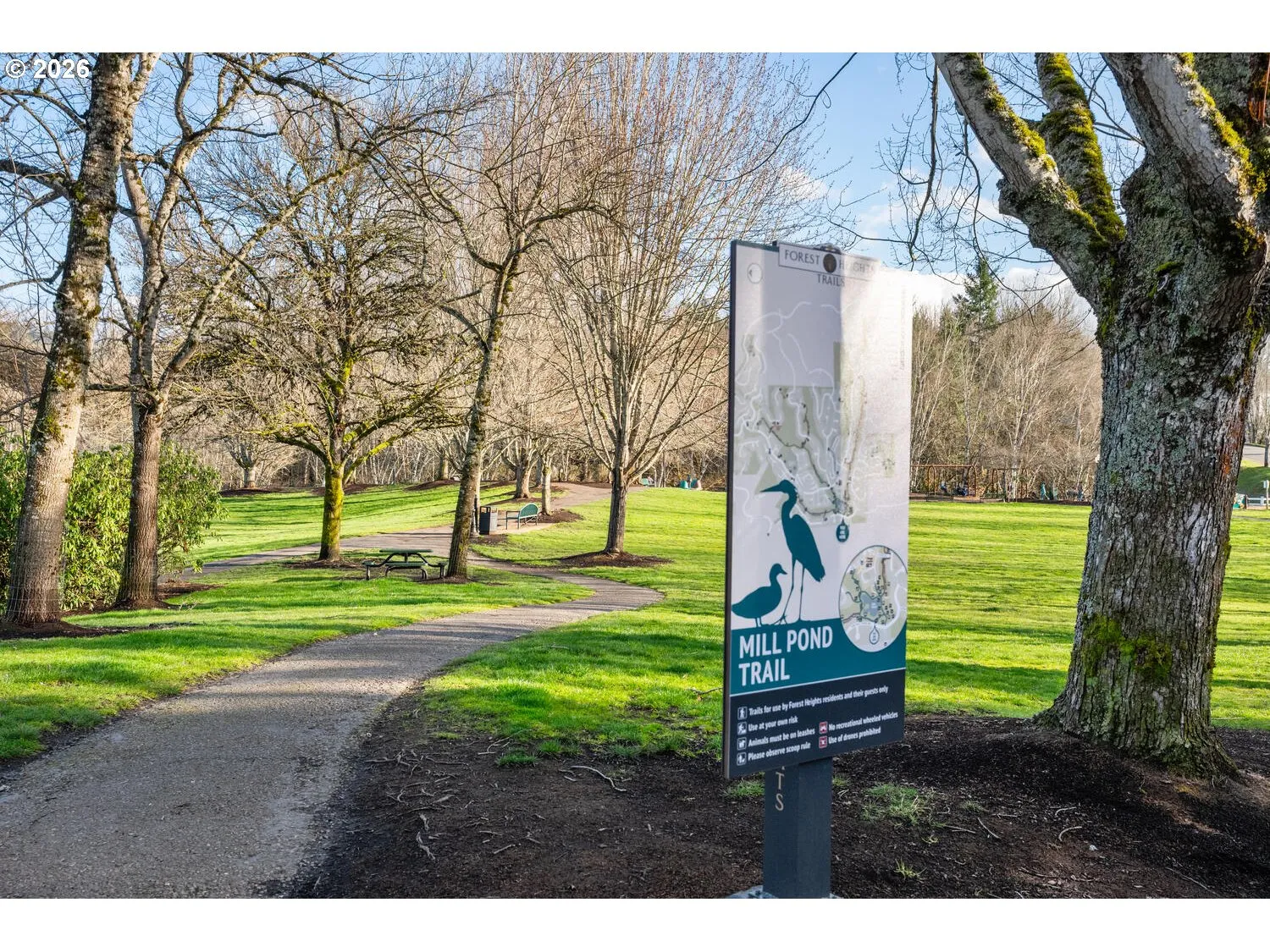Community Park