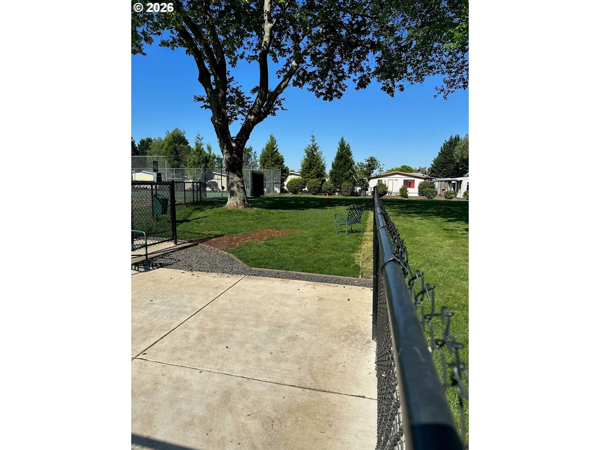 Dog Run