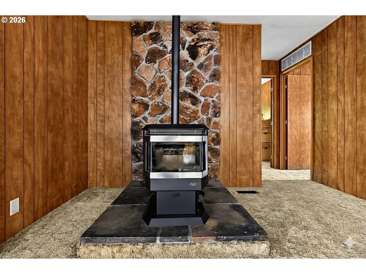 Fireplace Pellet Stove