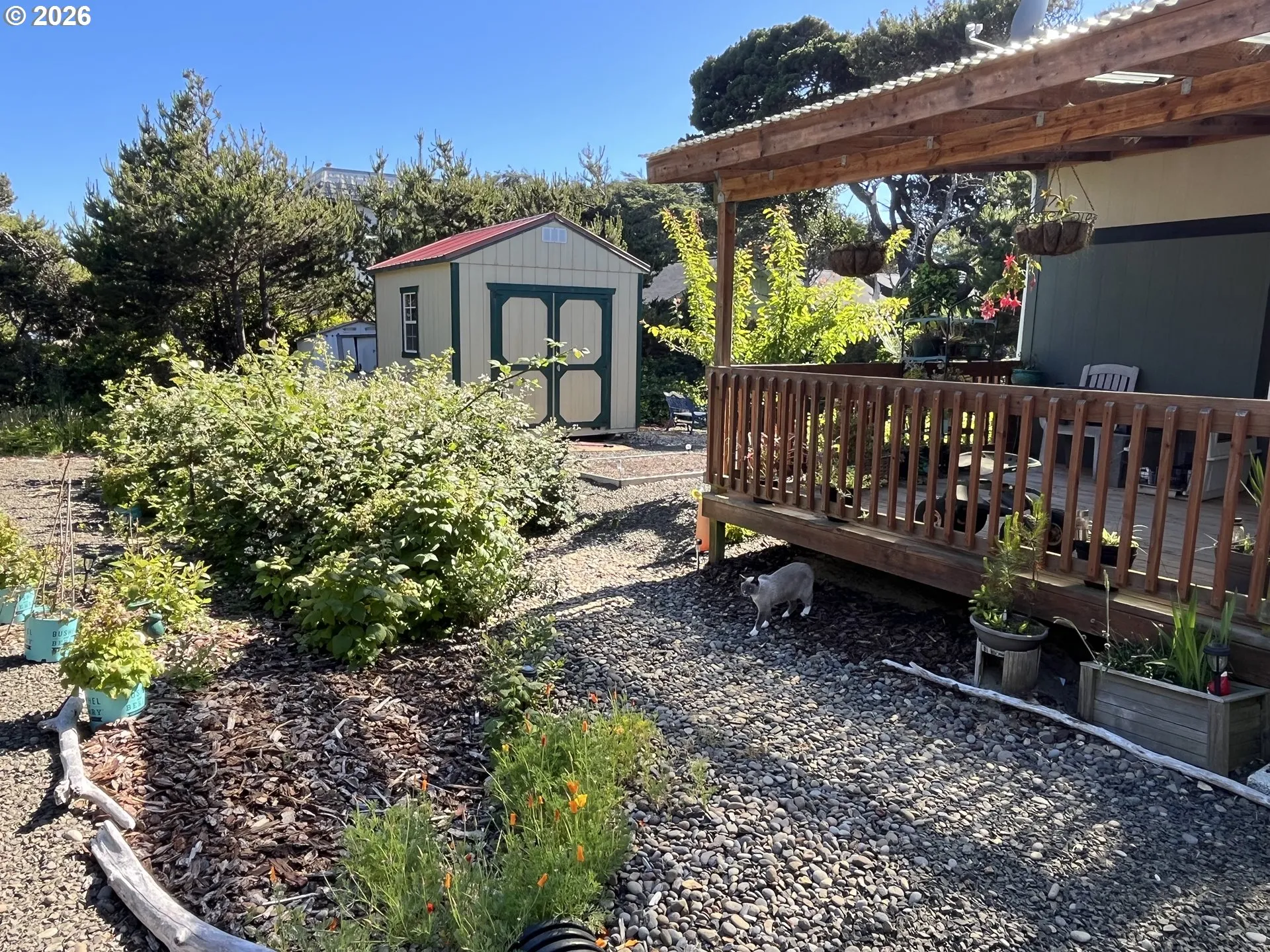 Yard