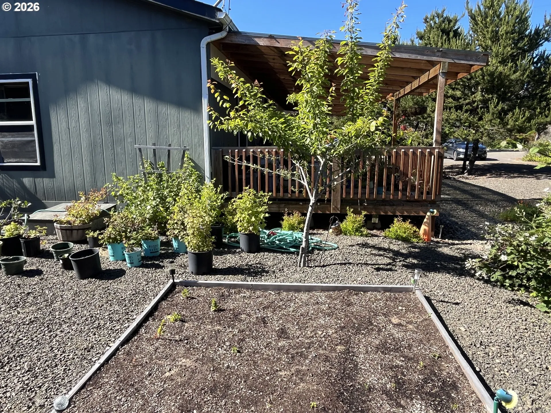 Yard