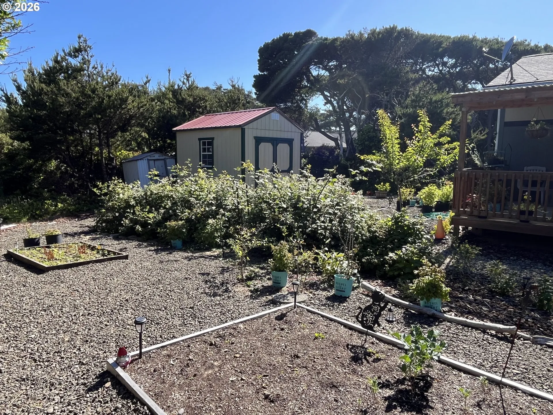 Yard