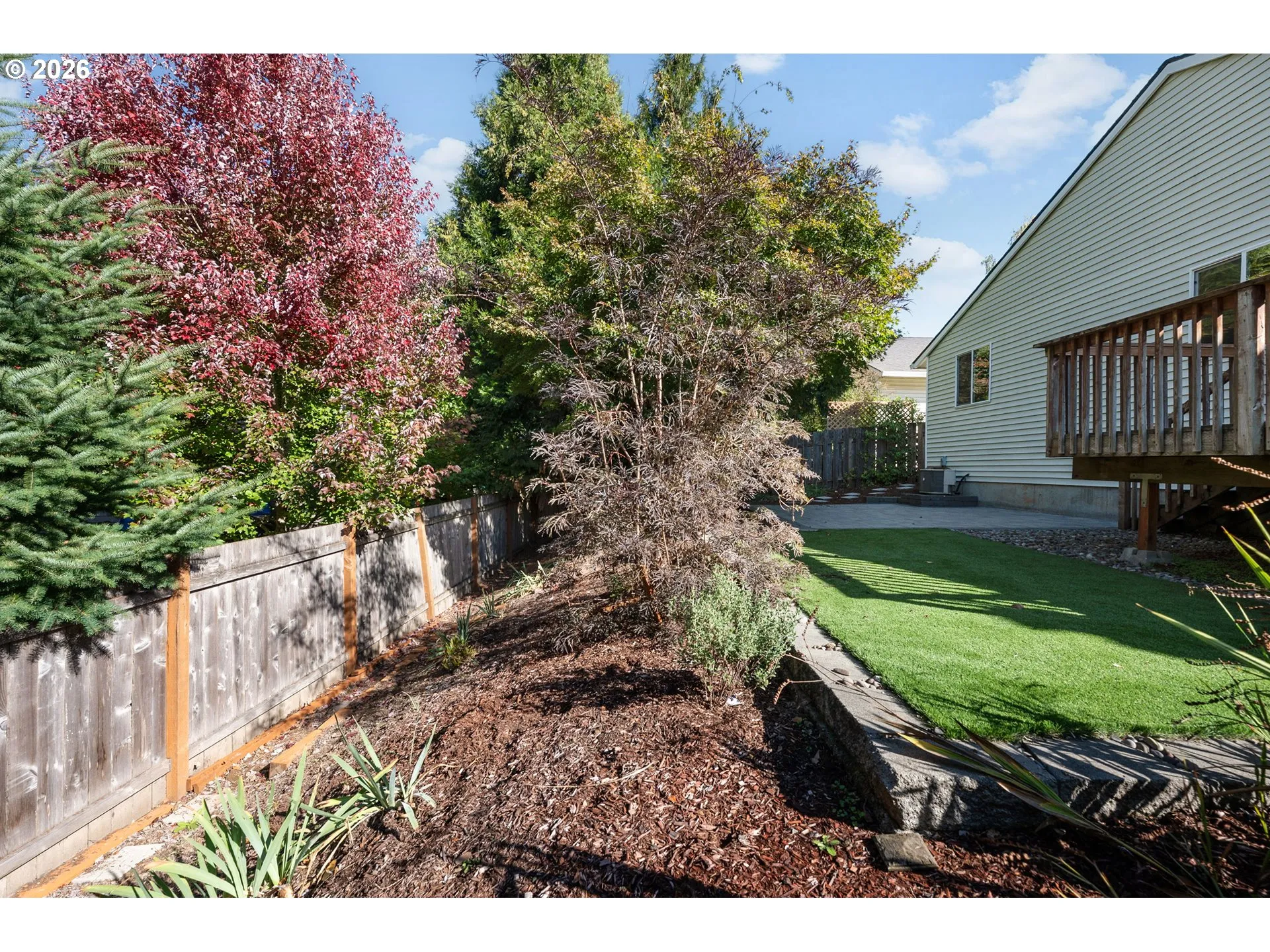 Backyard