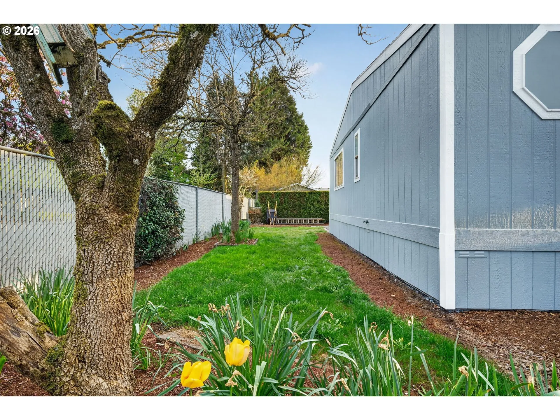 Yard-Manicured