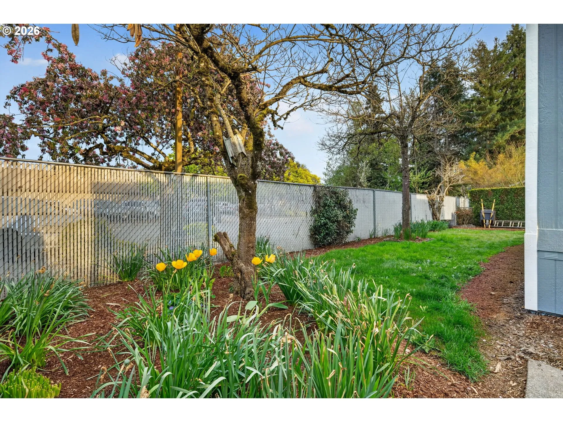 Yard-Fenced