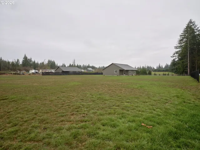 Backyard-View From