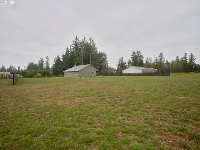 Backyard-View From