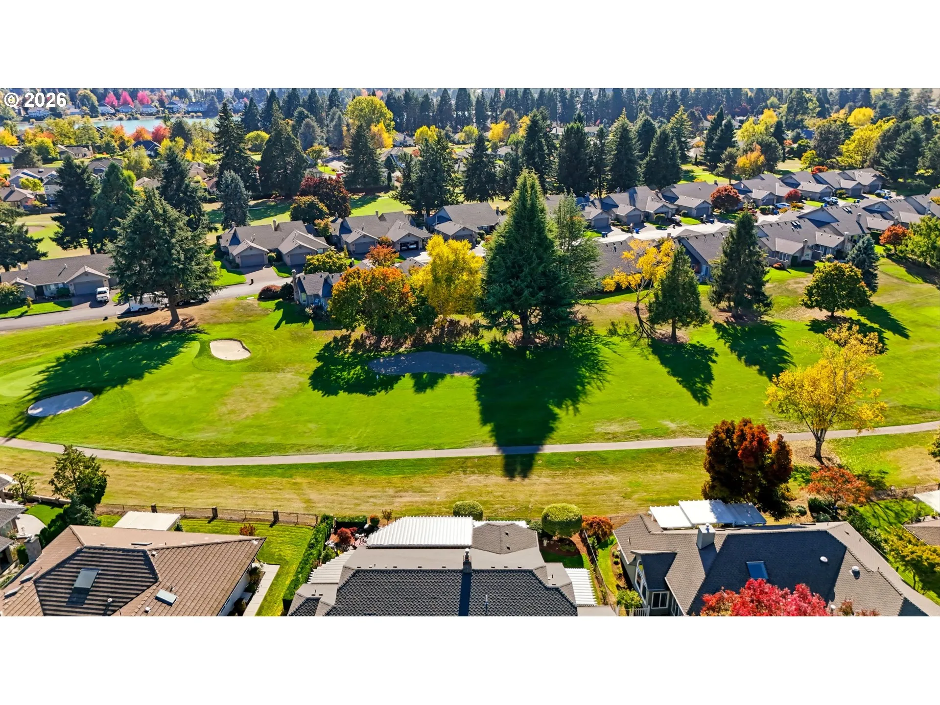 Backyard-View From