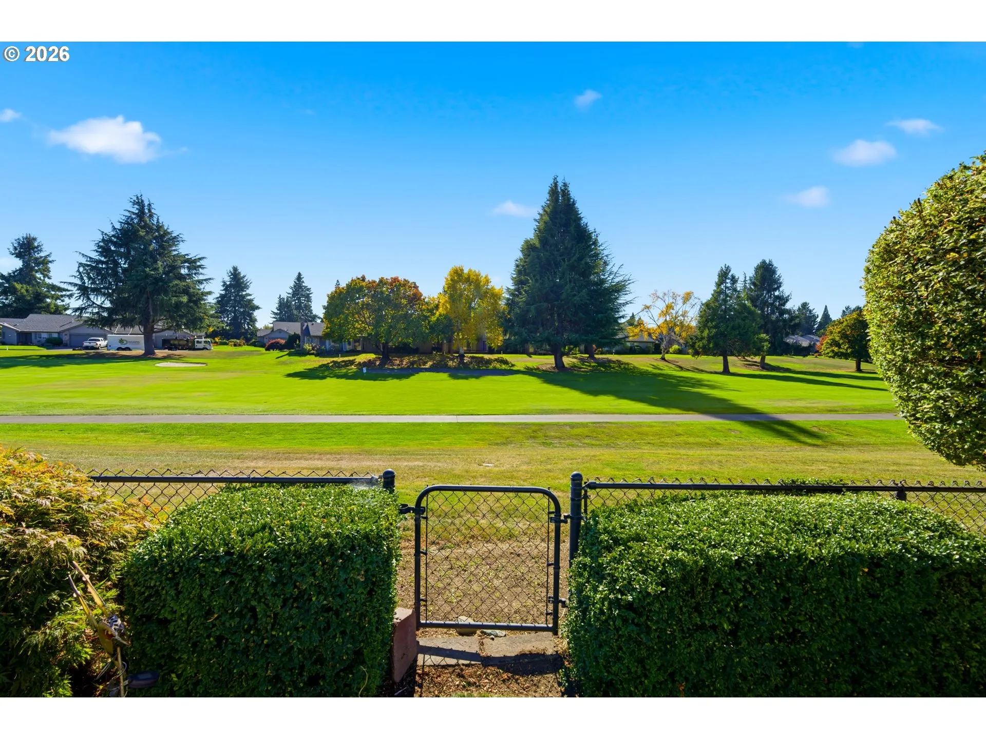Backyard-View From