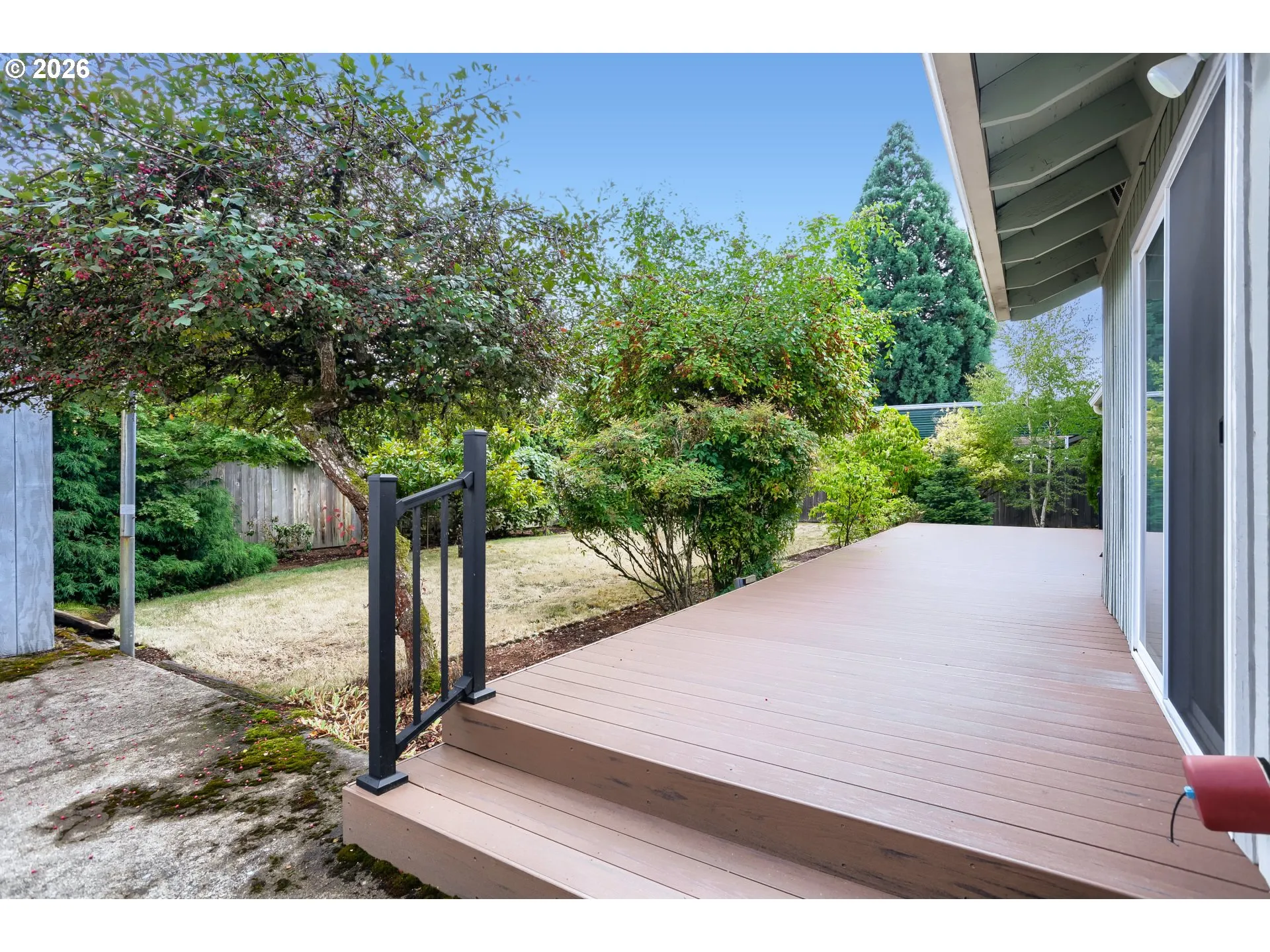 Backyard