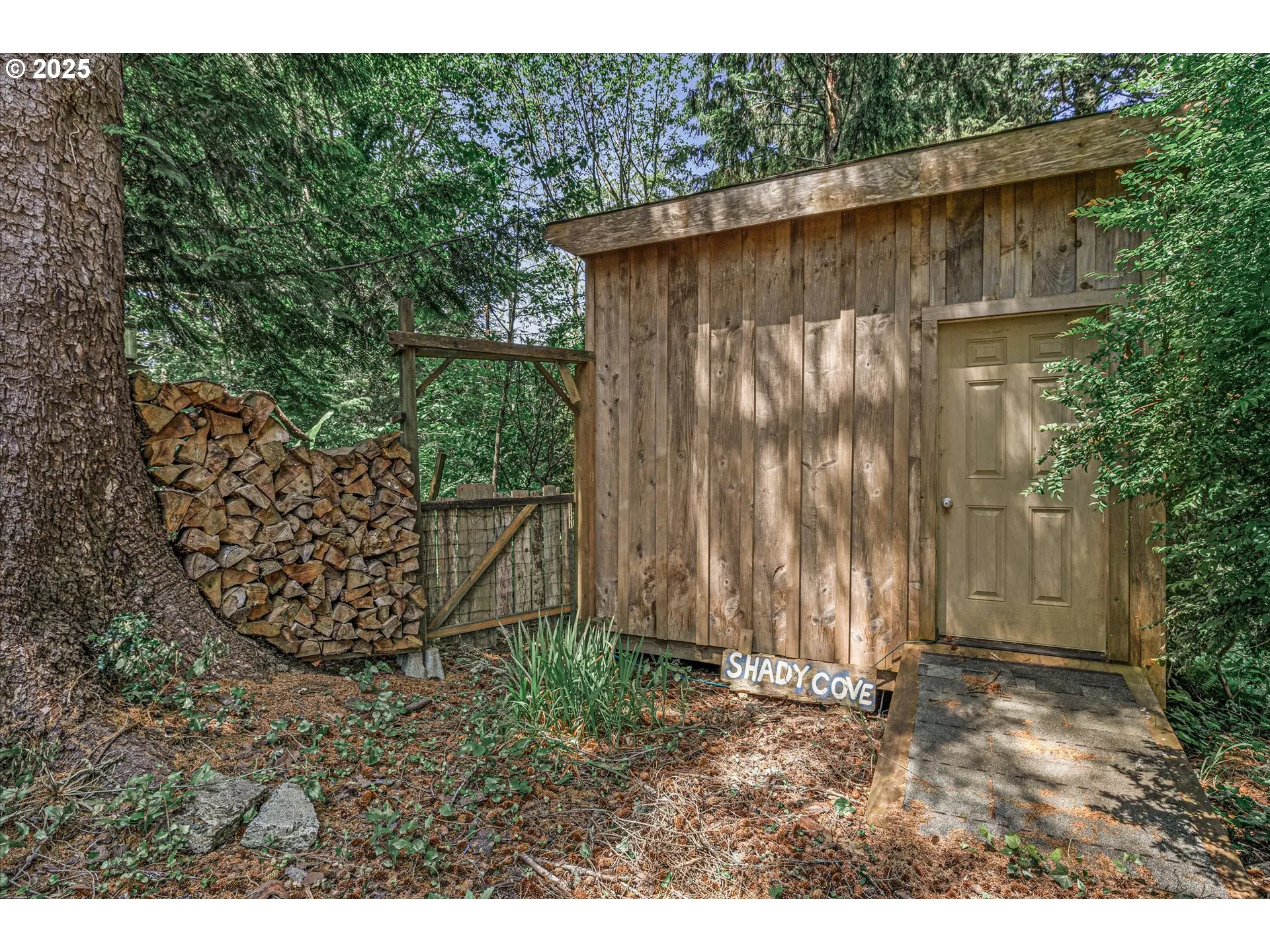 Shed-# 1