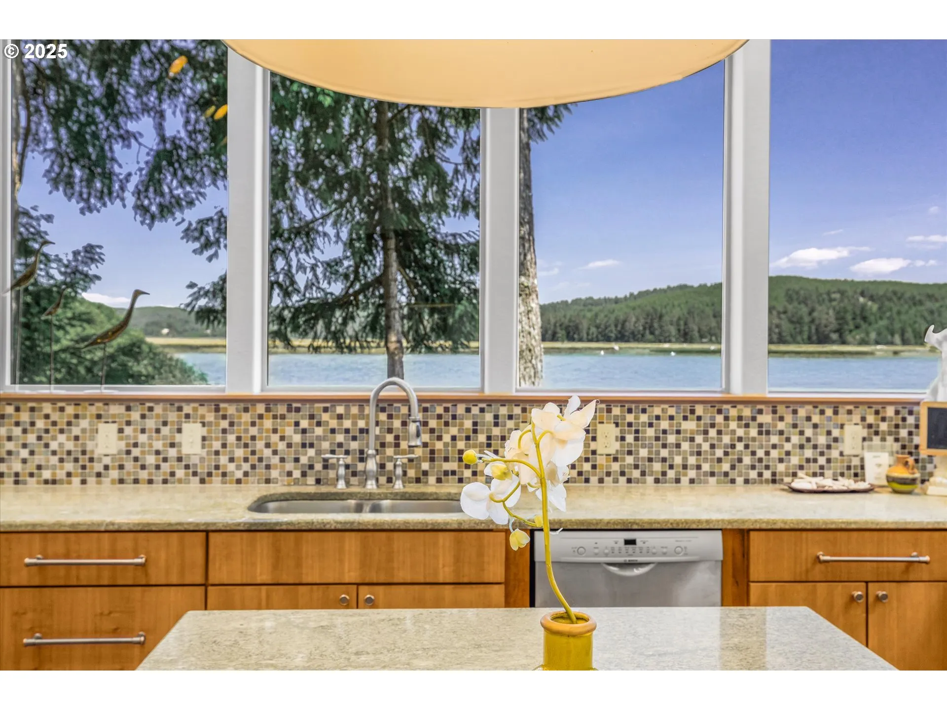 Kitchen-View From