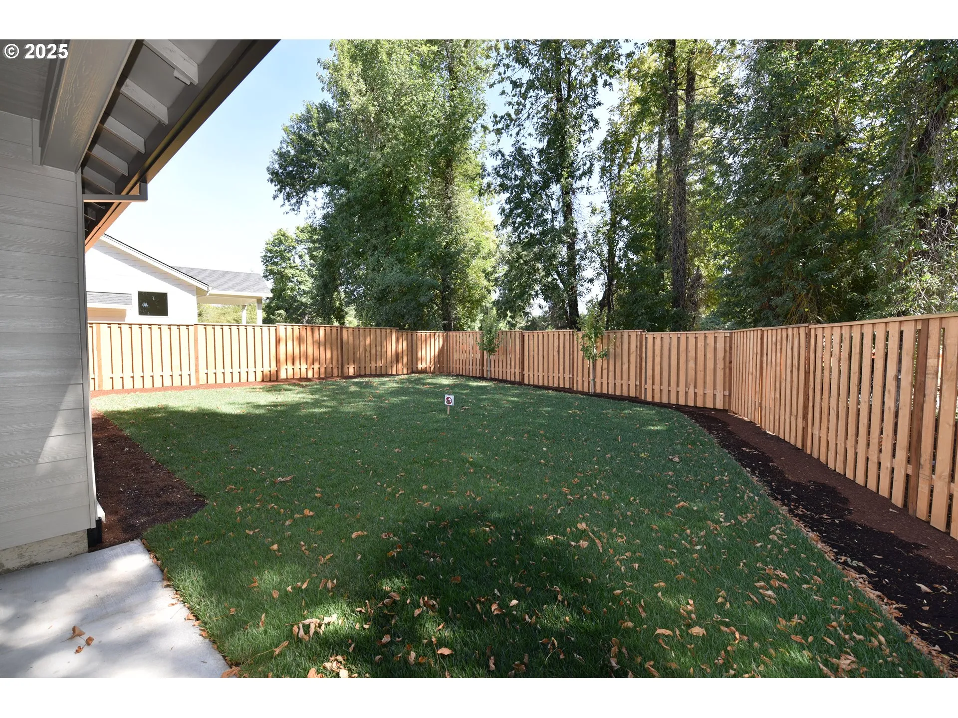 Backyard-Fenced