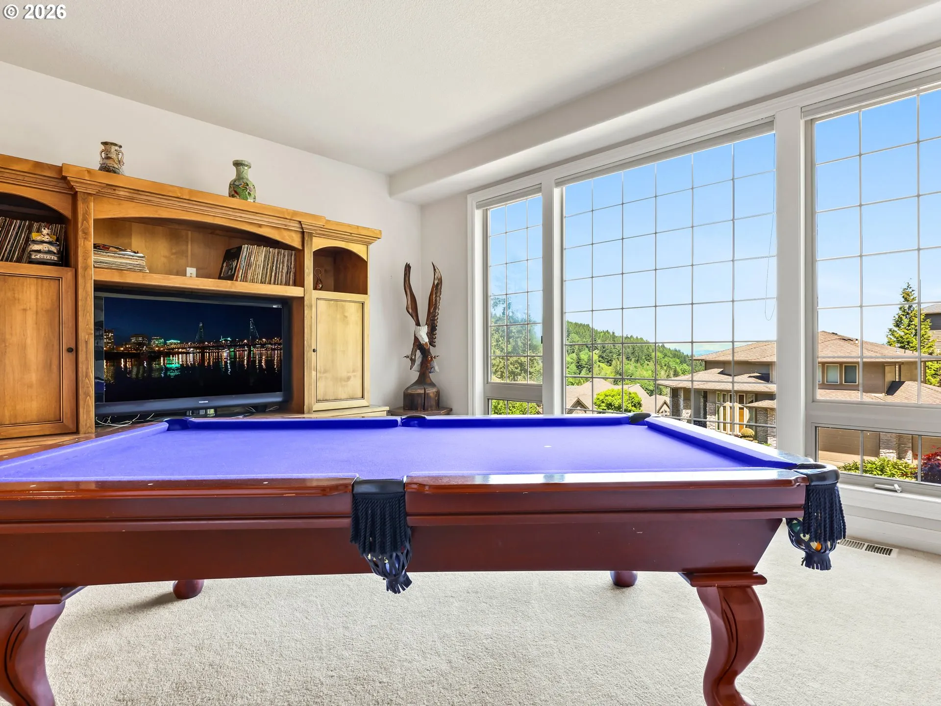 Family Room-Lower