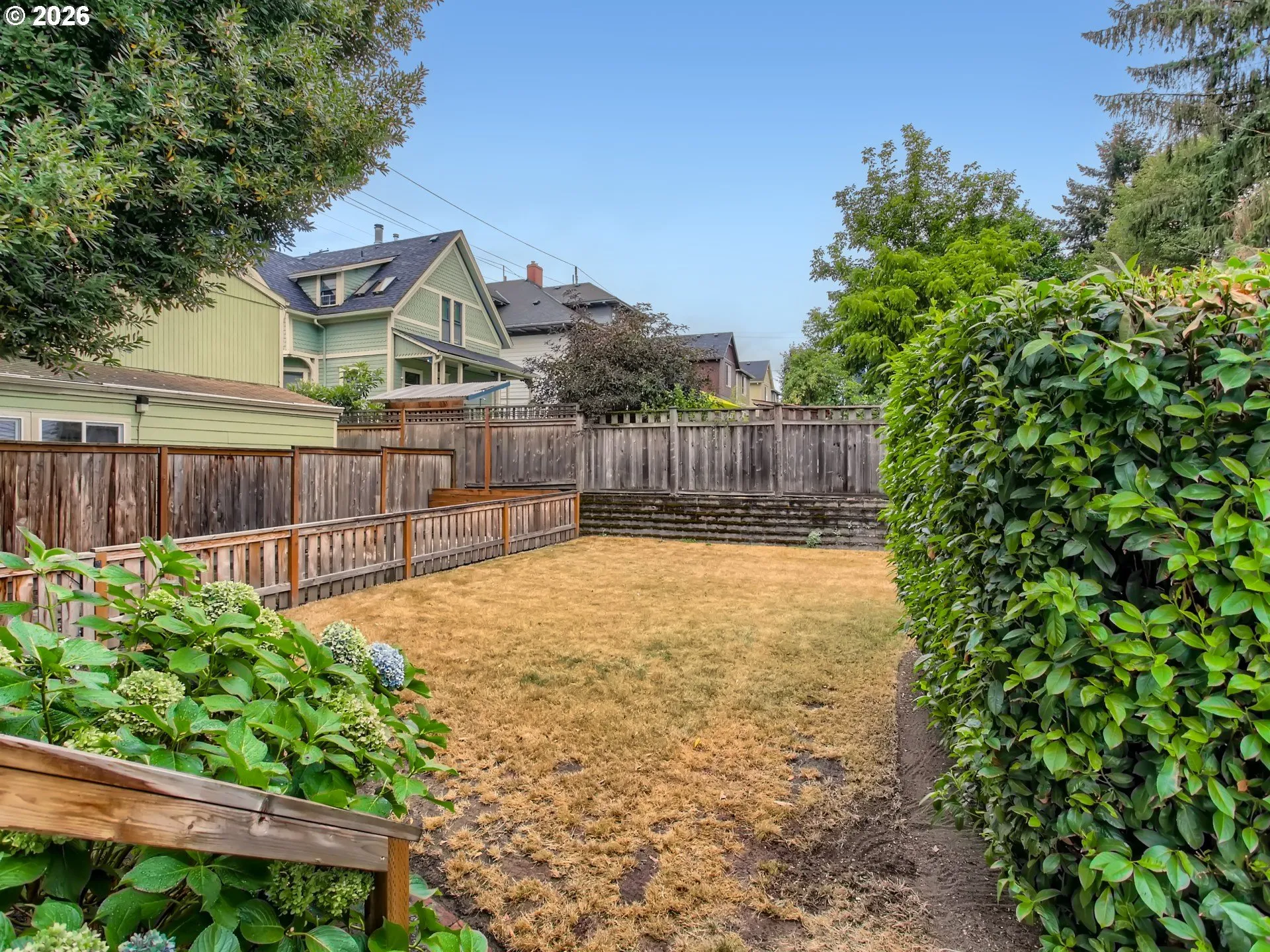Backyard