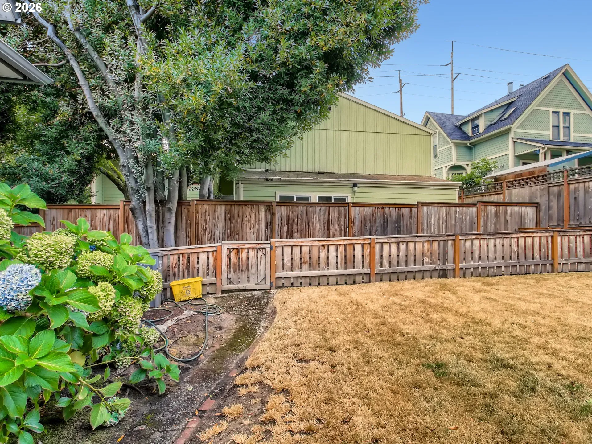 Backyard